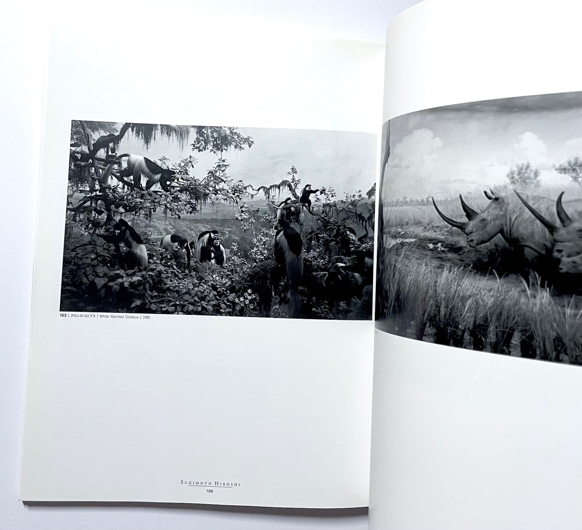 Border/Borderless : Japanese contemporary photography / はるかな空の下で : 日本の現代写真