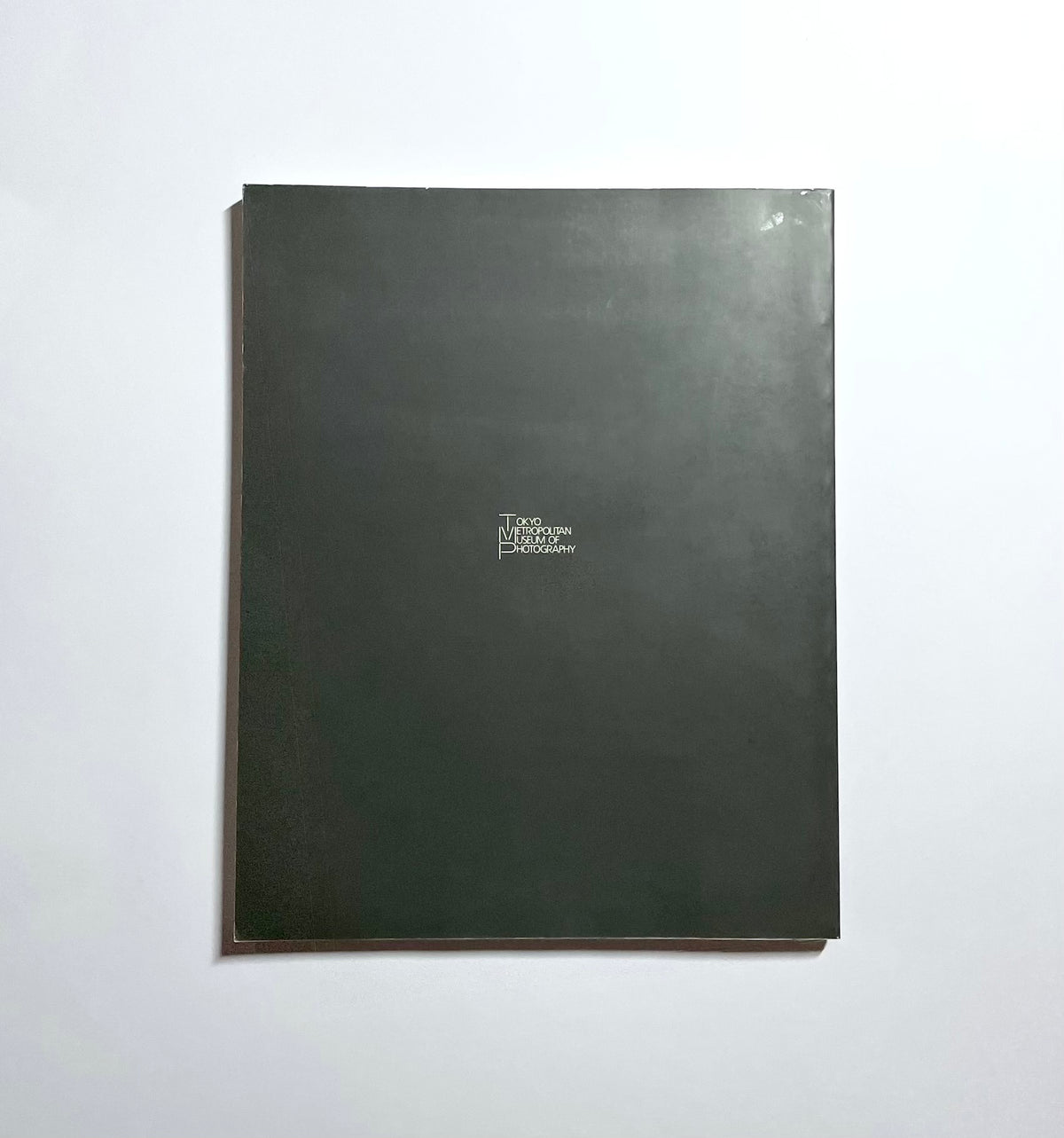 Border/Borderless : Japanese contemporary photography / はるかな空の下で : 日本の現代写真
