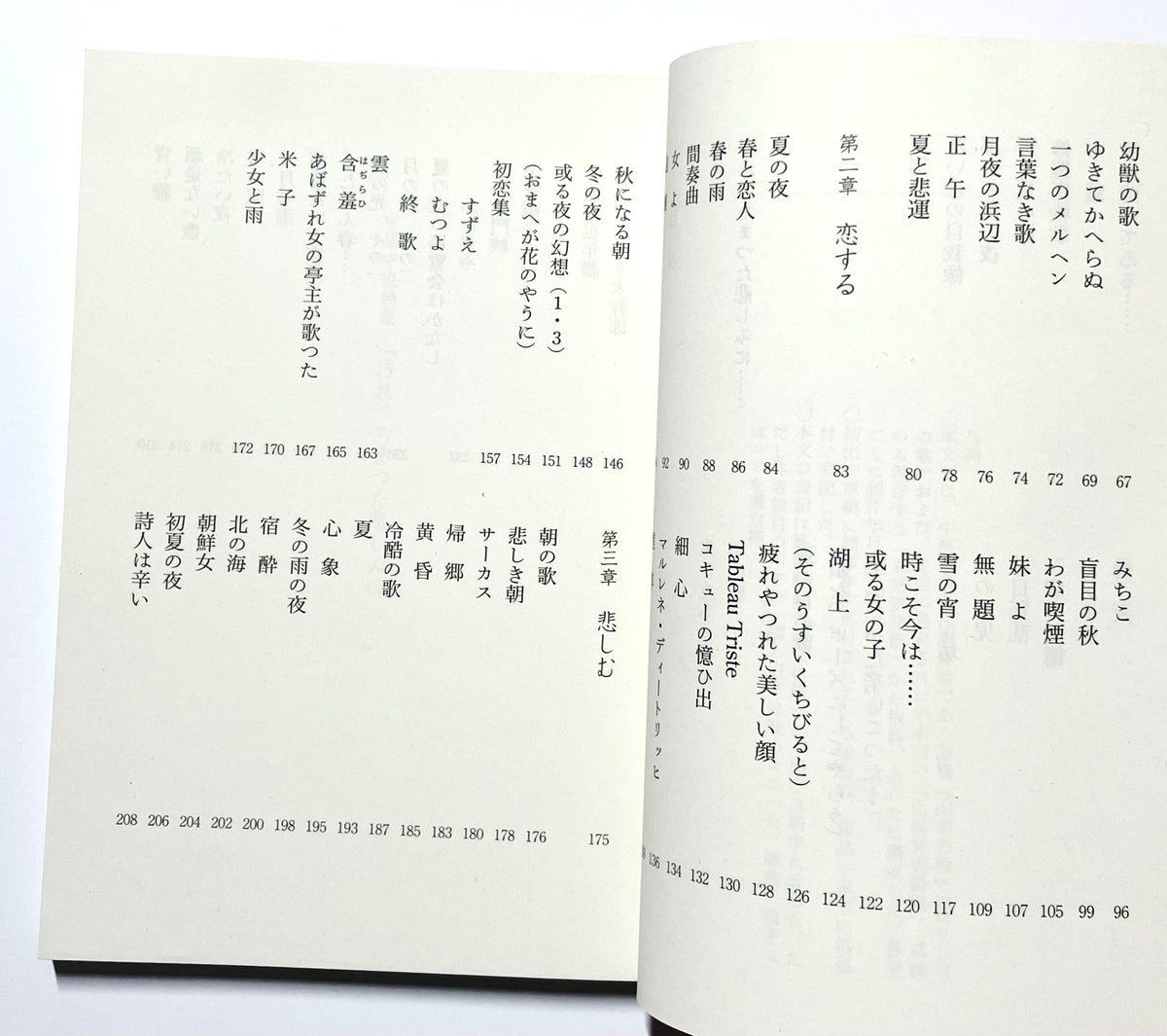 汚れつちまつた悲しみに........  中原中也詩集