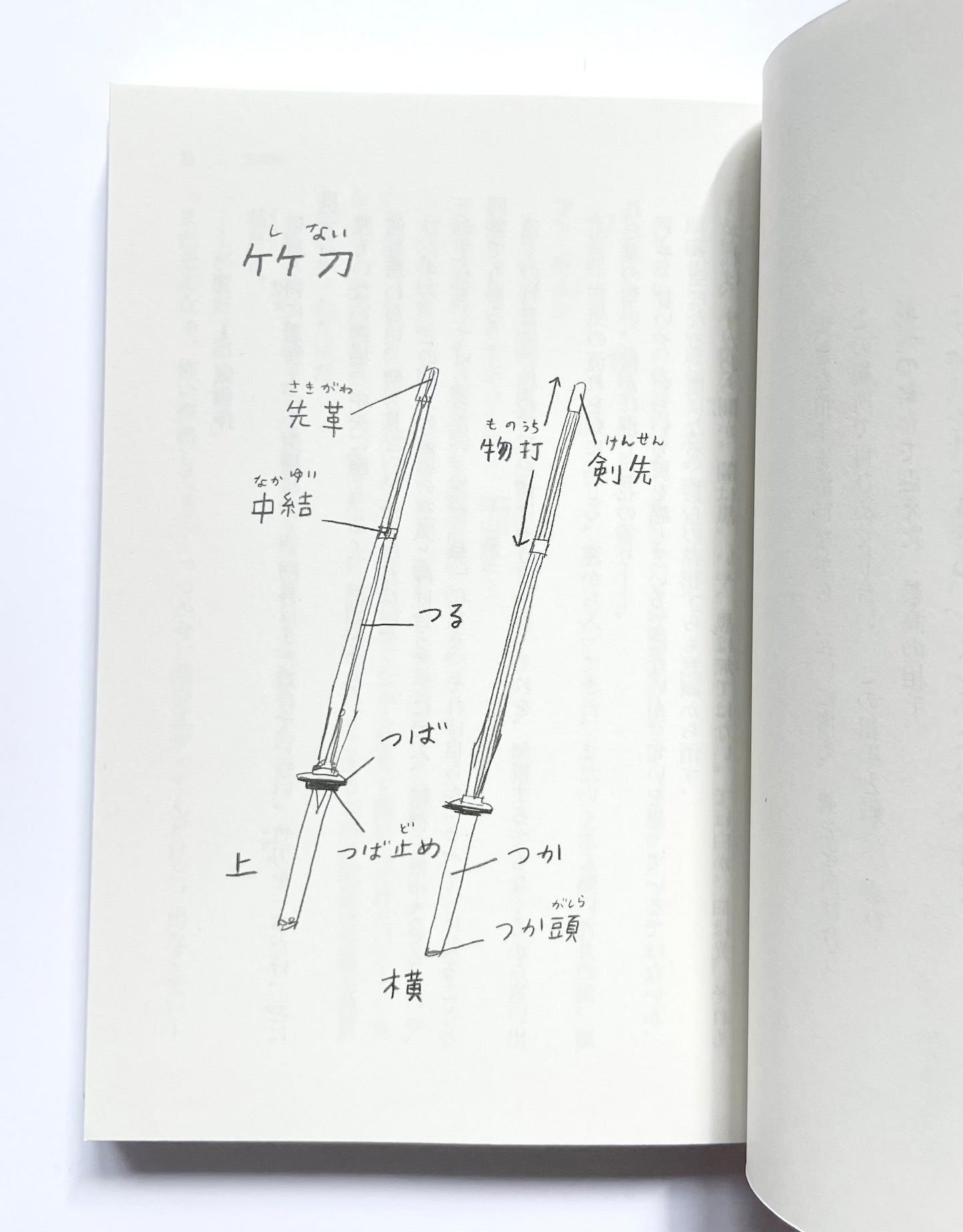 武士道シックスティーン