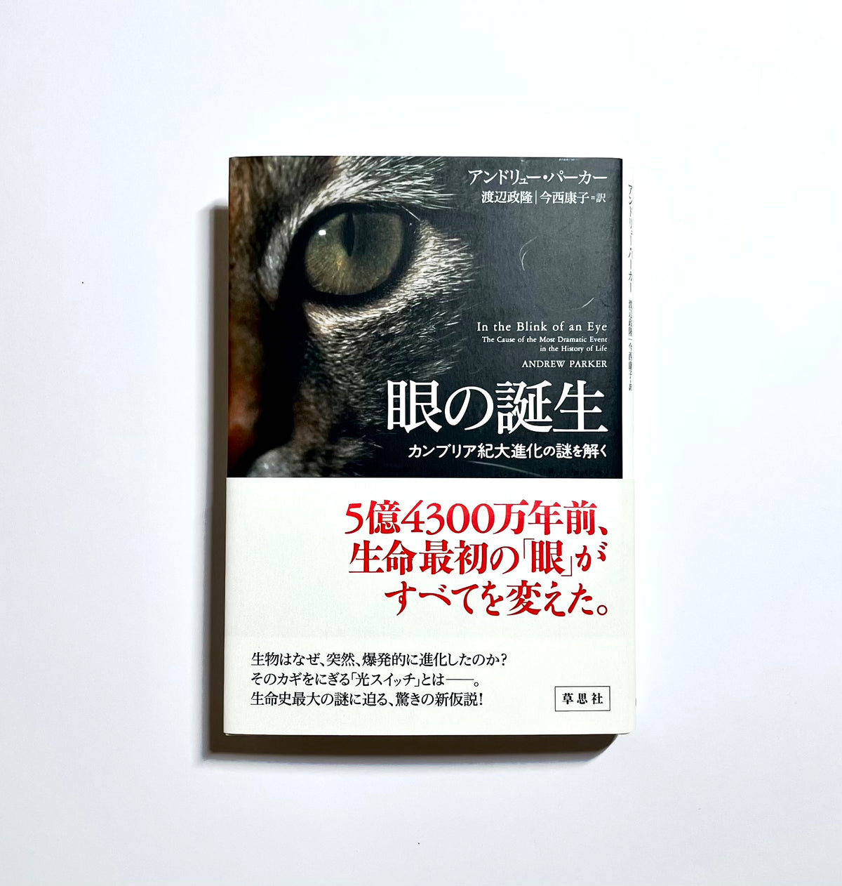 眼の誕生 - カンブリア紀大進化の謎を解く