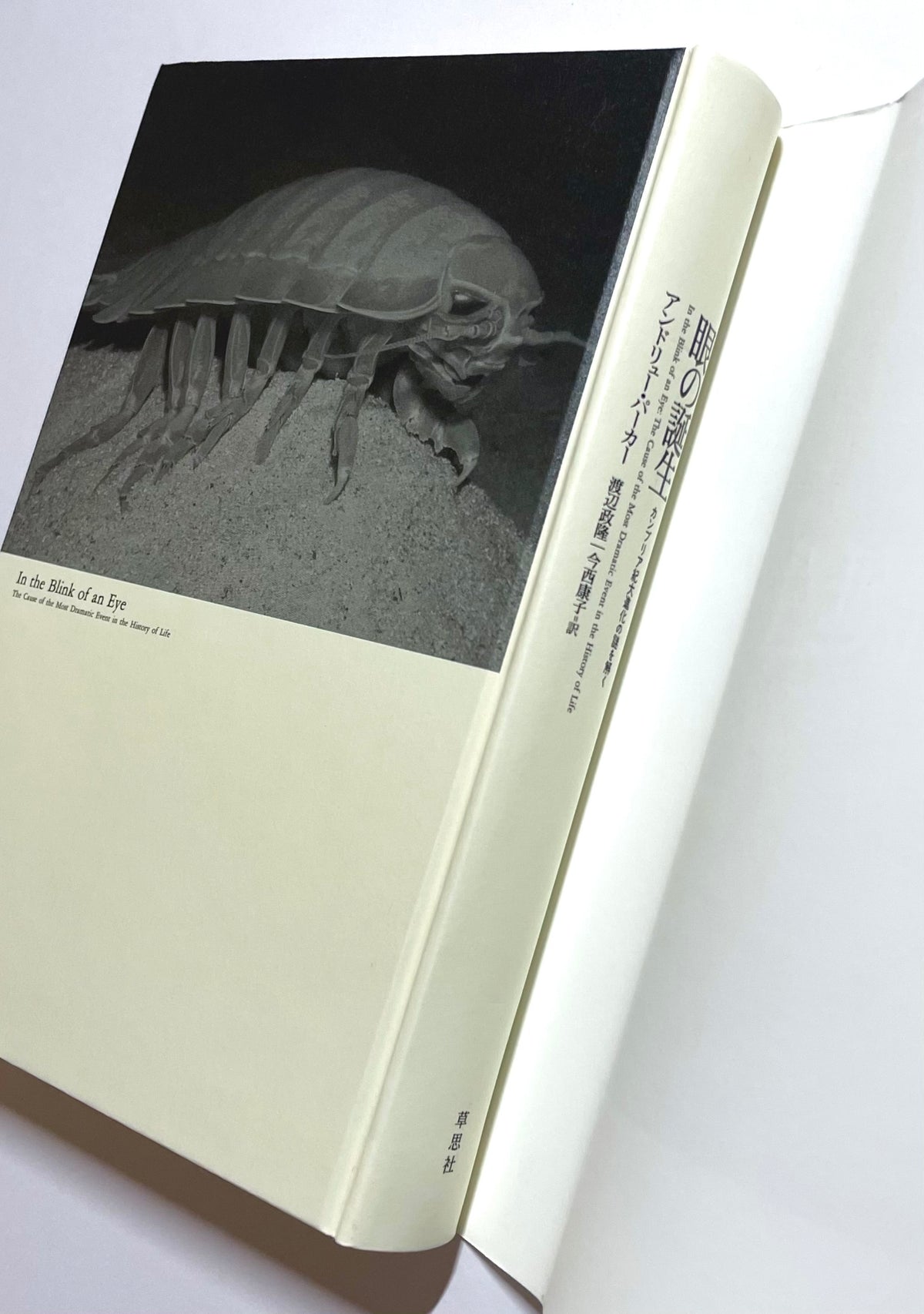 眼の誕生 - カンブリア紀大進化の謎を解く