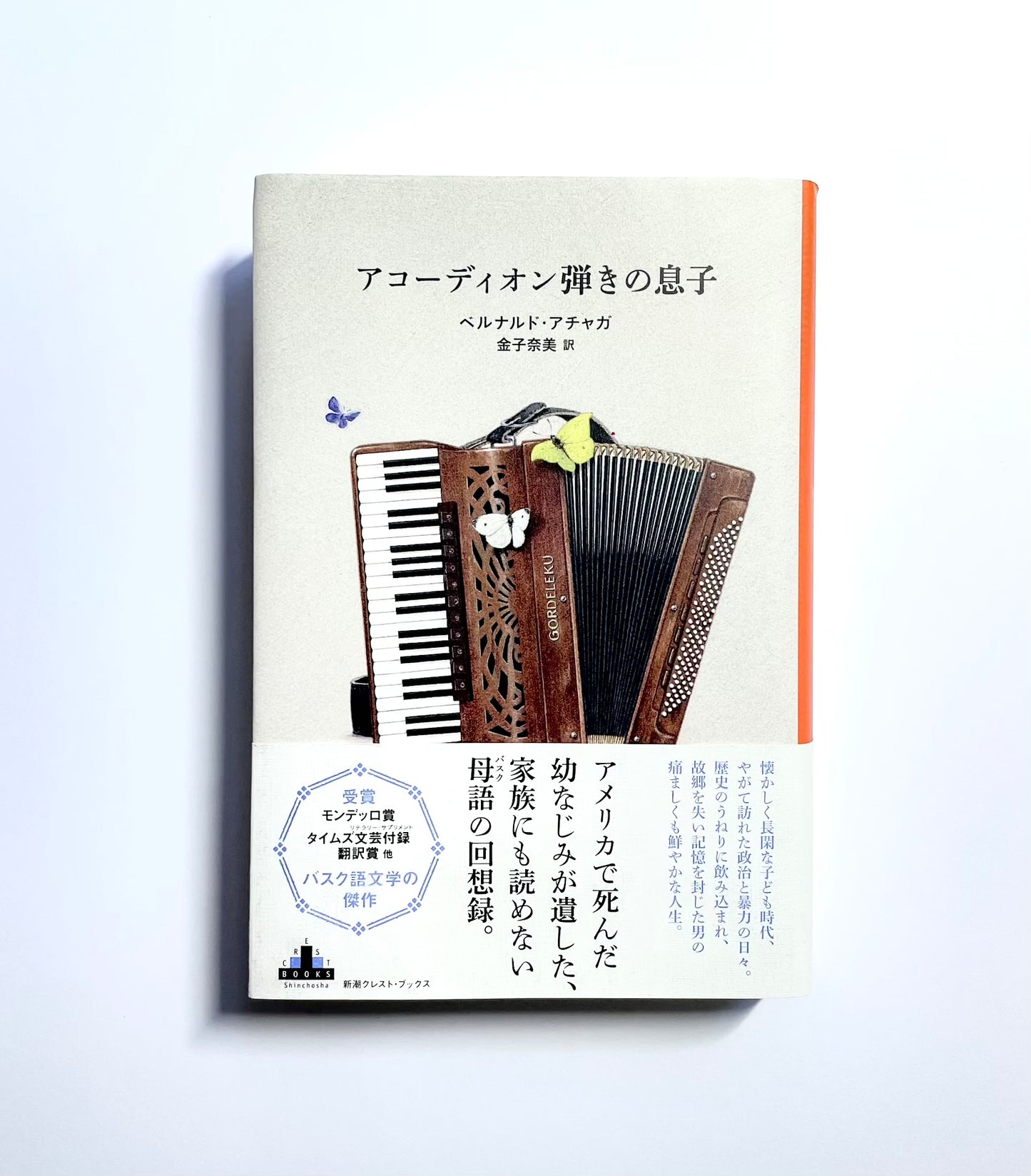 アコーディオン弾きの息子