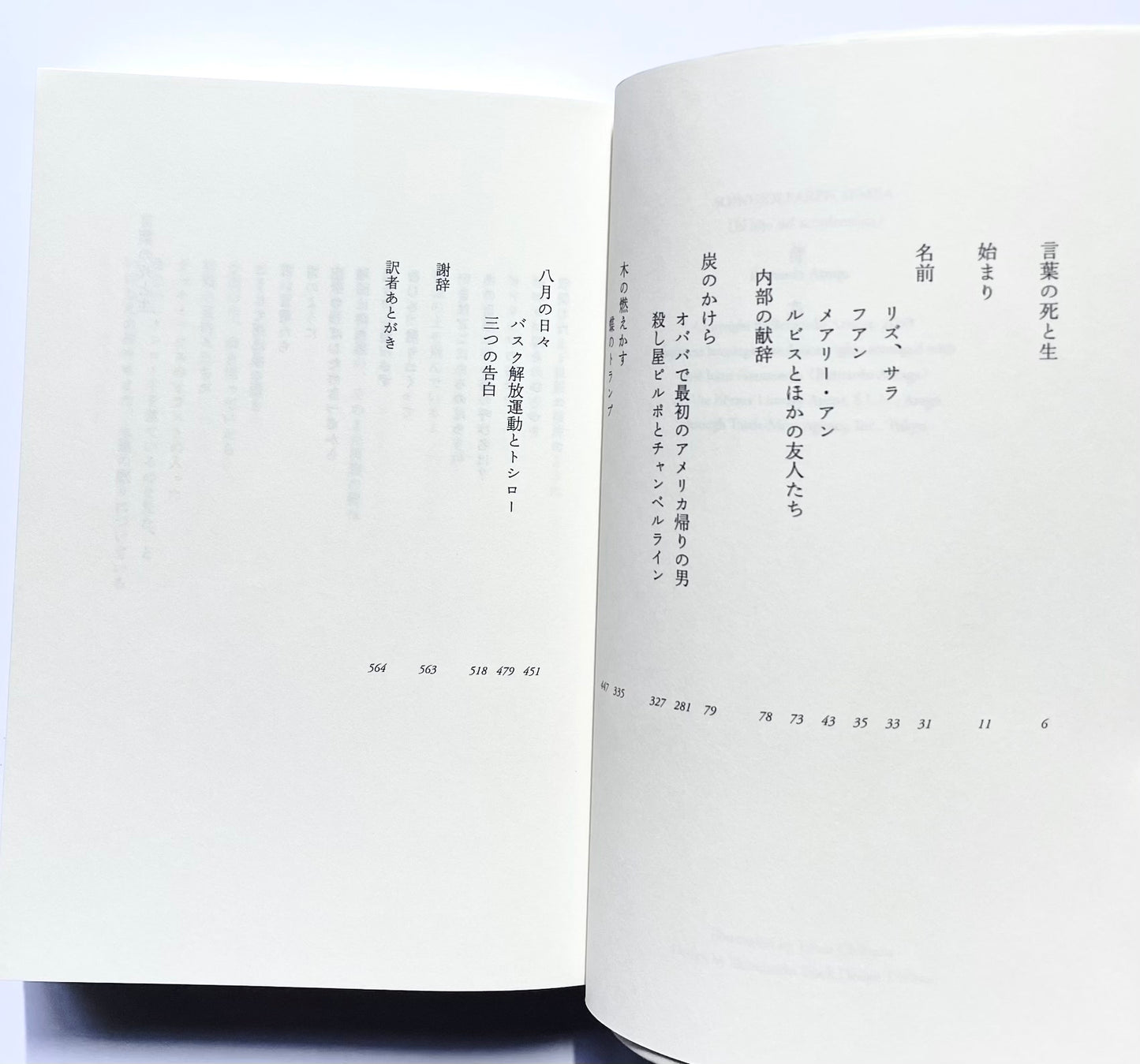 アコーディオン弾きの息子