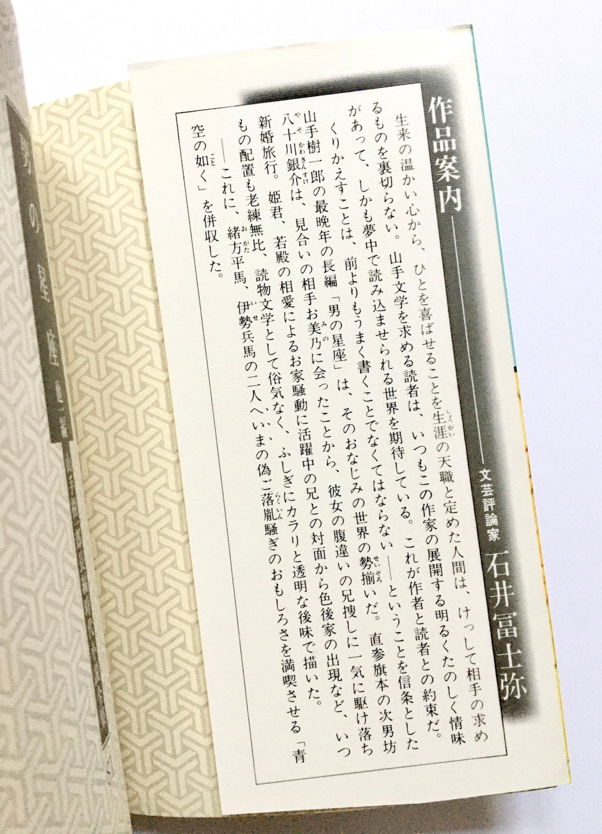 男の星座 他一編 山手樹一郎長編時代小説全集 81 春陽文庫81