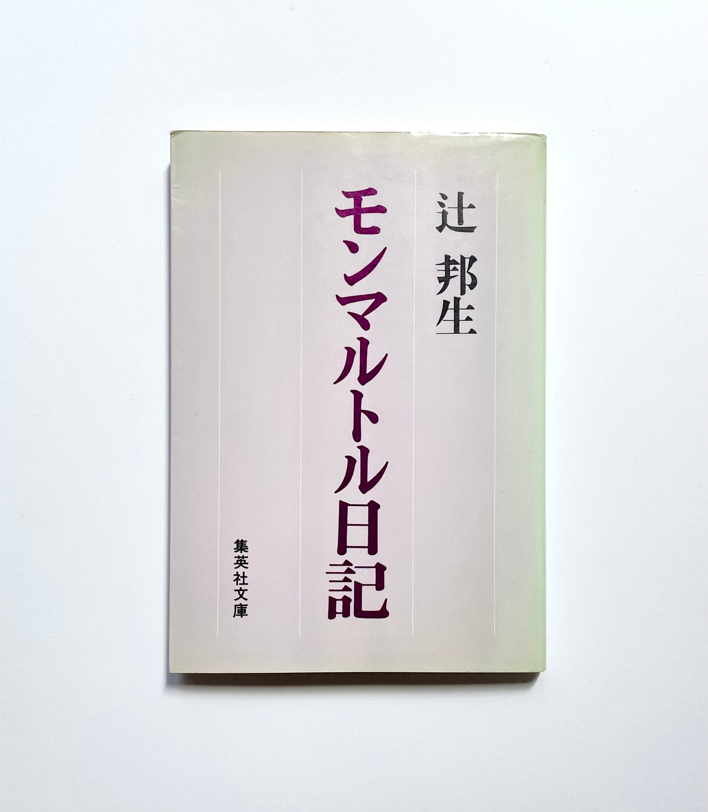 モンマルトル日記