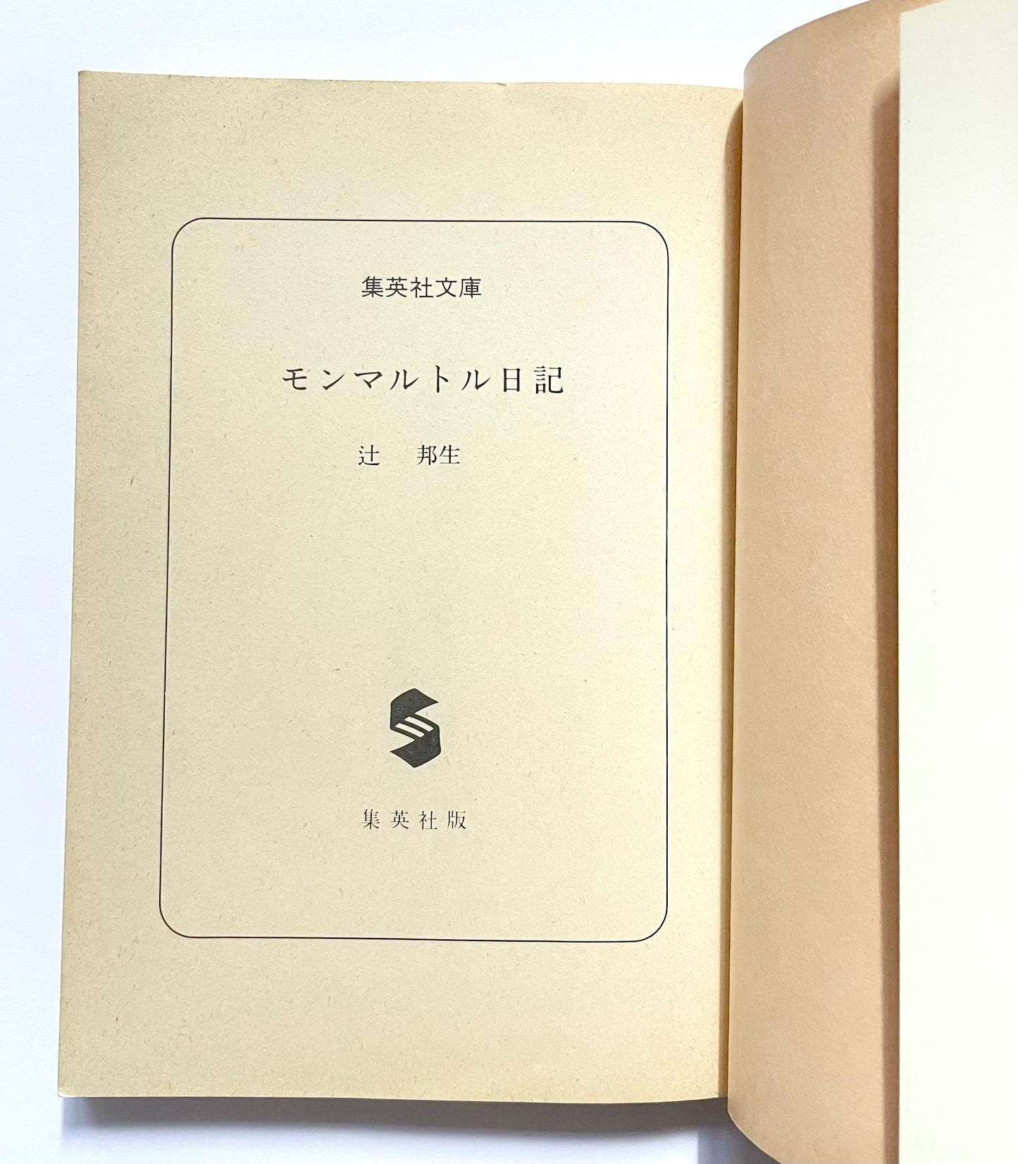 モンマルトル日記