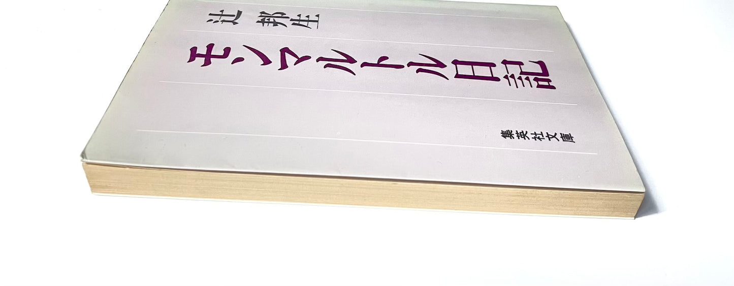 モンマルトル日記