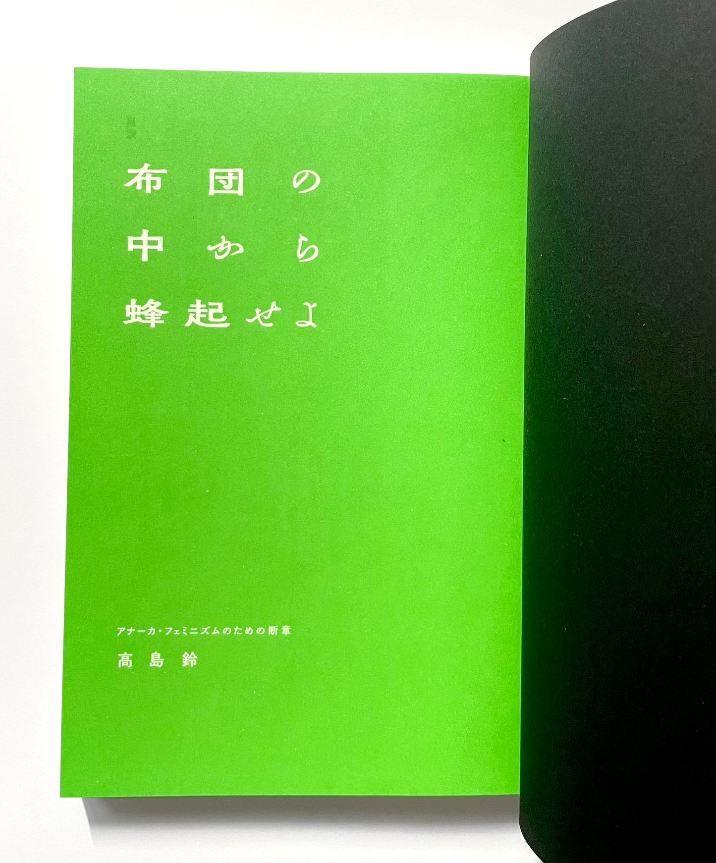 布団の中から蜂起せよ: アナーカ・フェミニズムのための断章