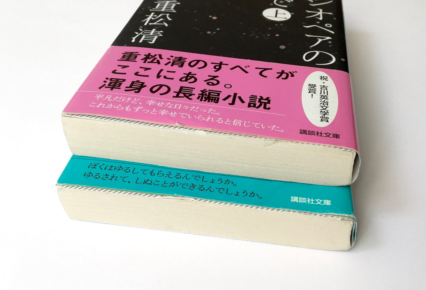 カシオペアの丘で (上)(下)