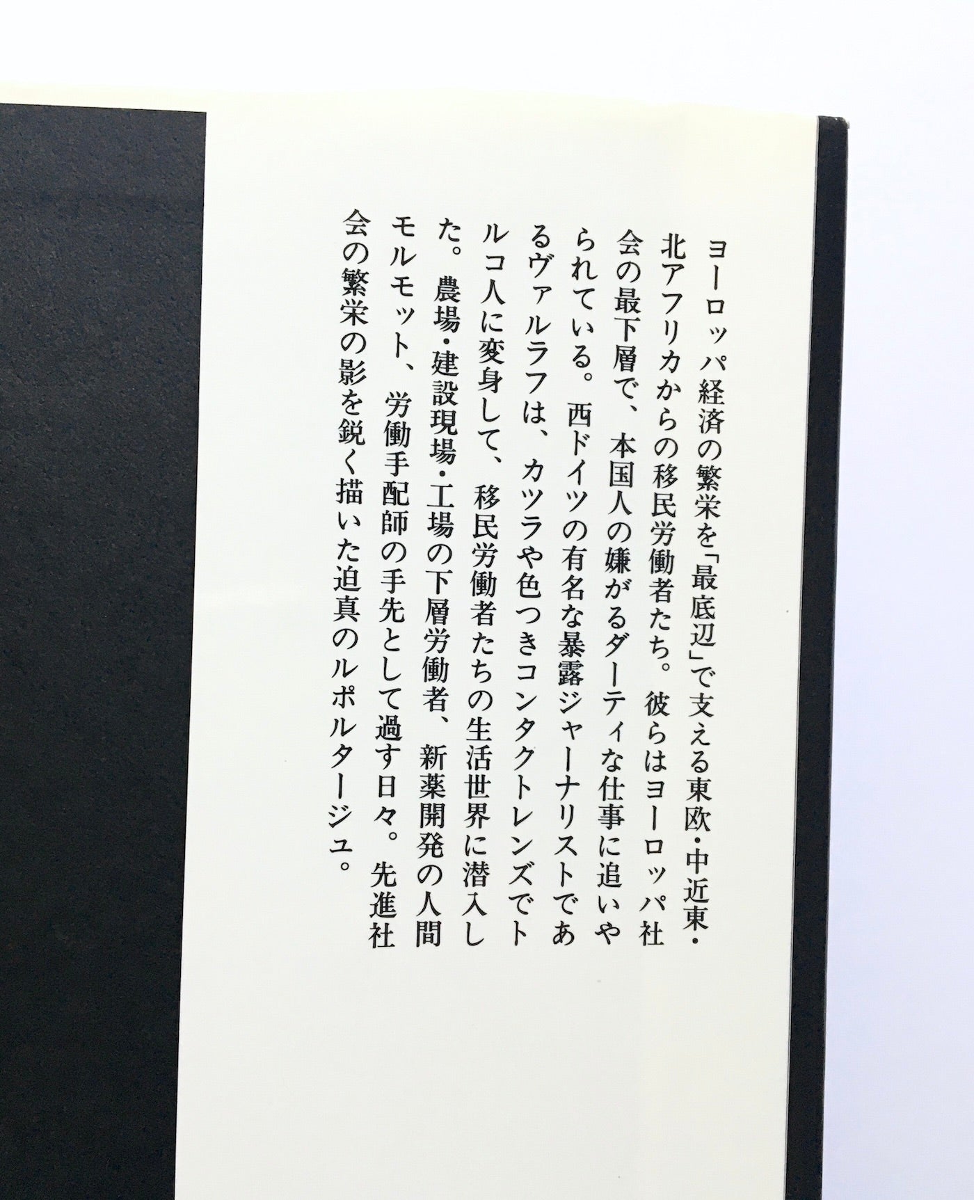 最底辺 Ganz unten - トルコ人に変身して見た祖国・西ドイツ