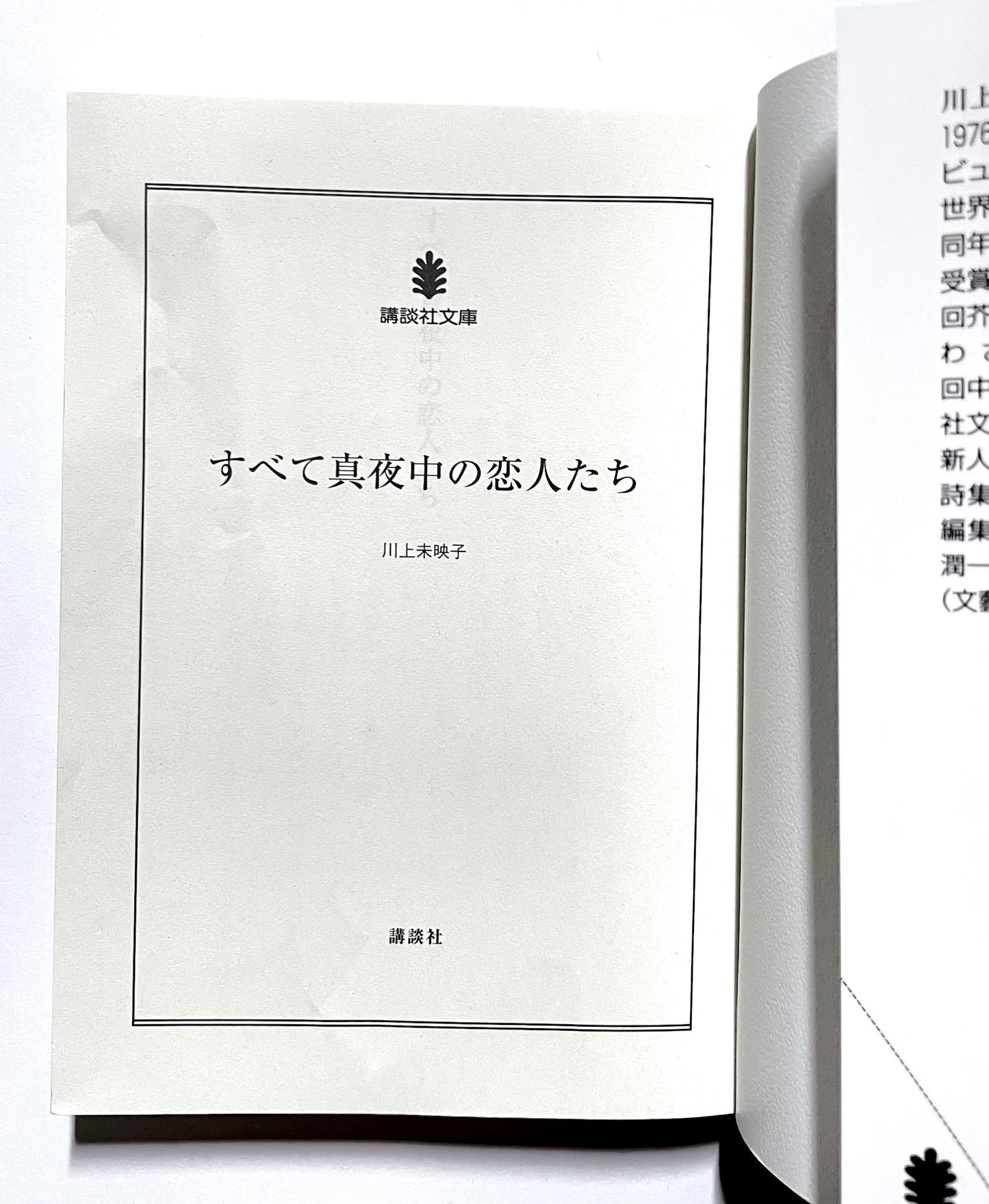 すべて真夜中の恋人たち