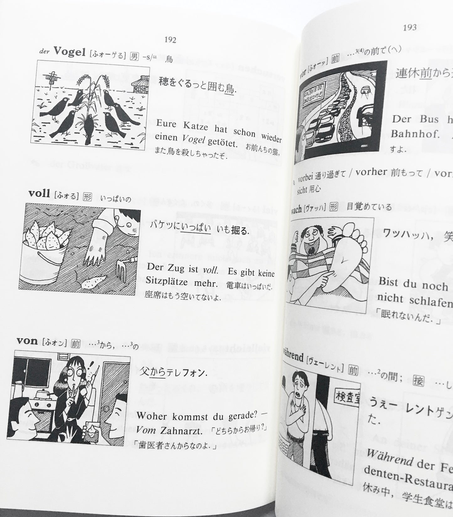 だじゃれdeドイチュ ― キーワードで学ぶドイツ語600