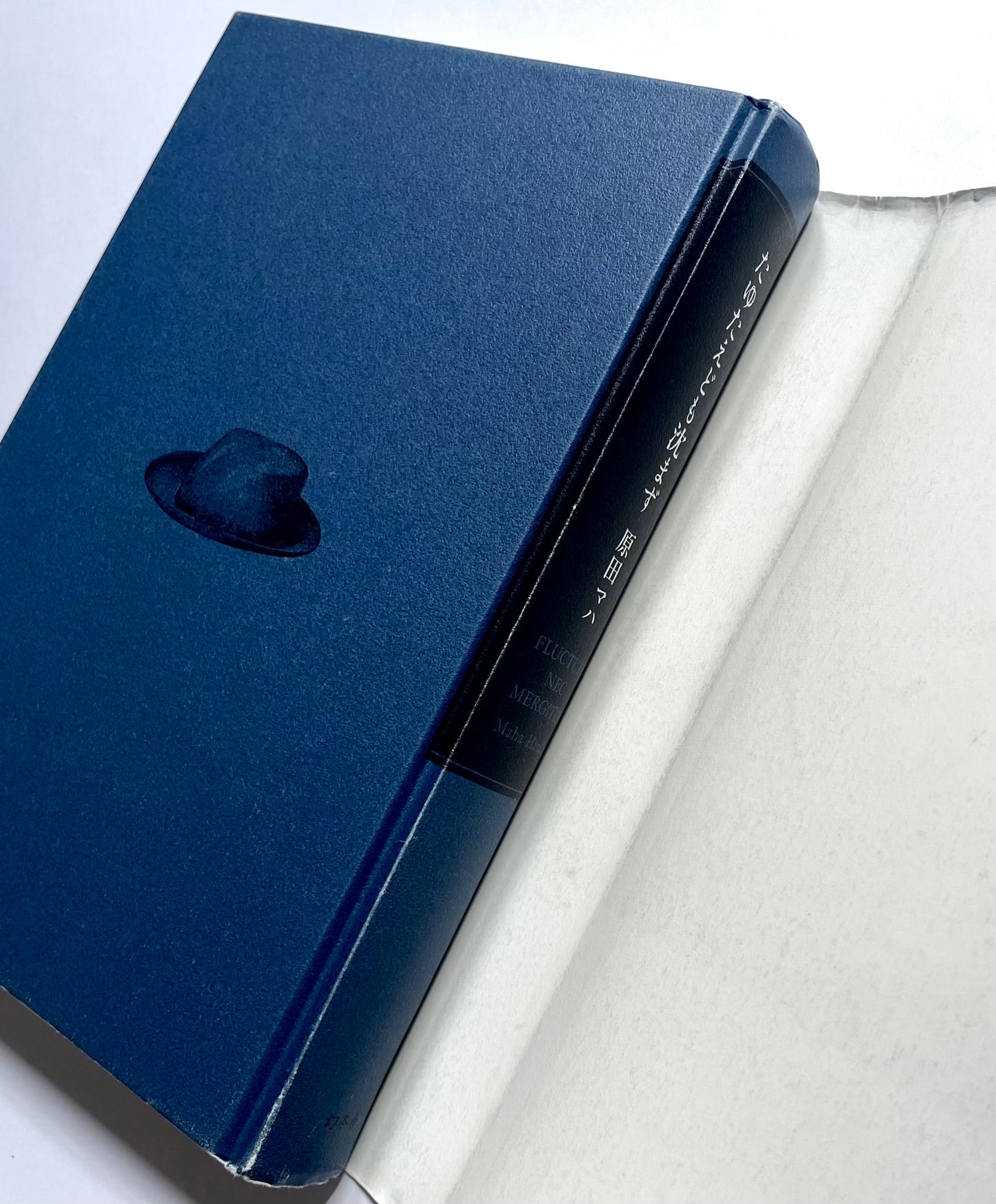 たゆたえども沈まず