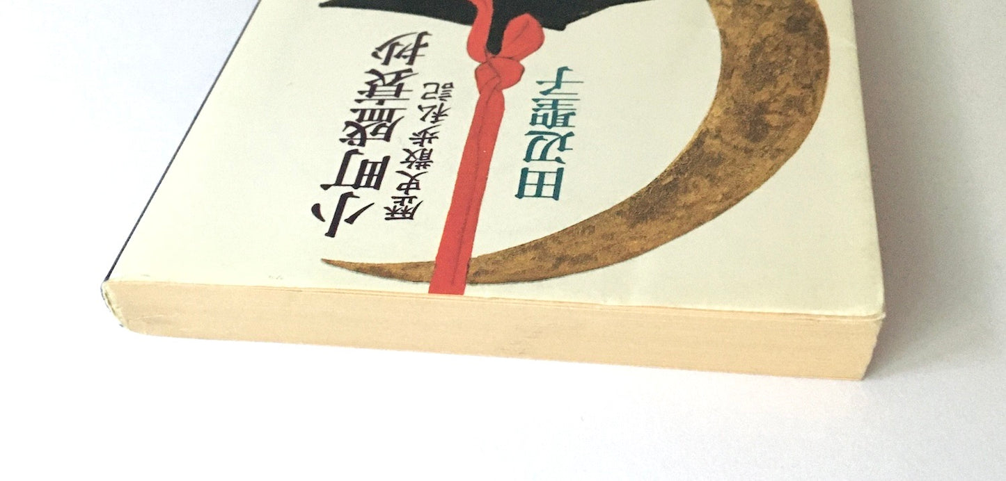 小町盛衰抄: 歴史散歩私記