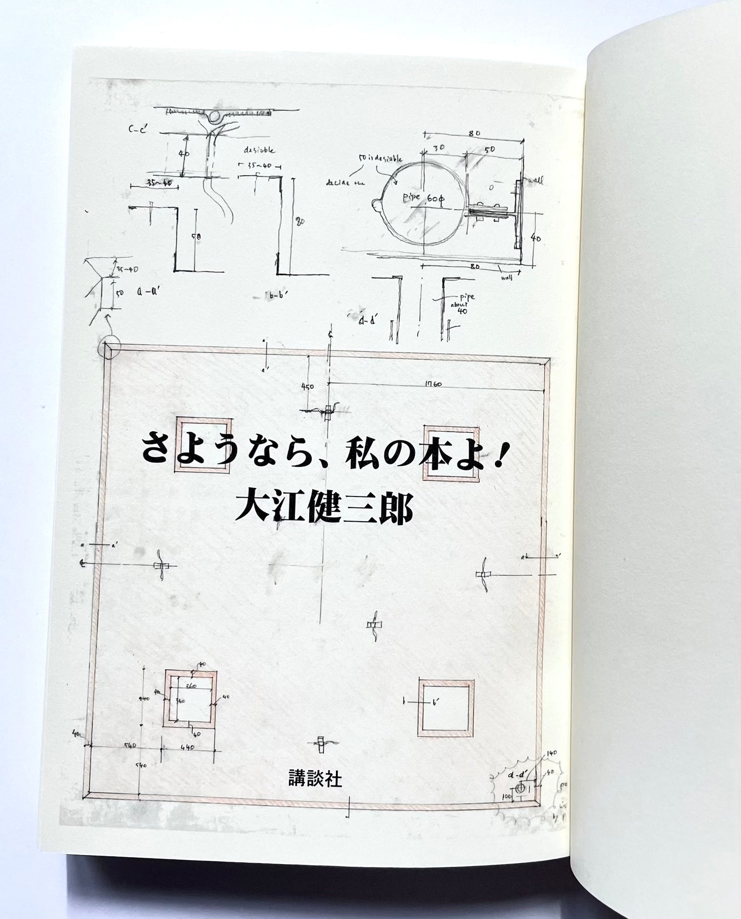 さようなら、私の本よ！