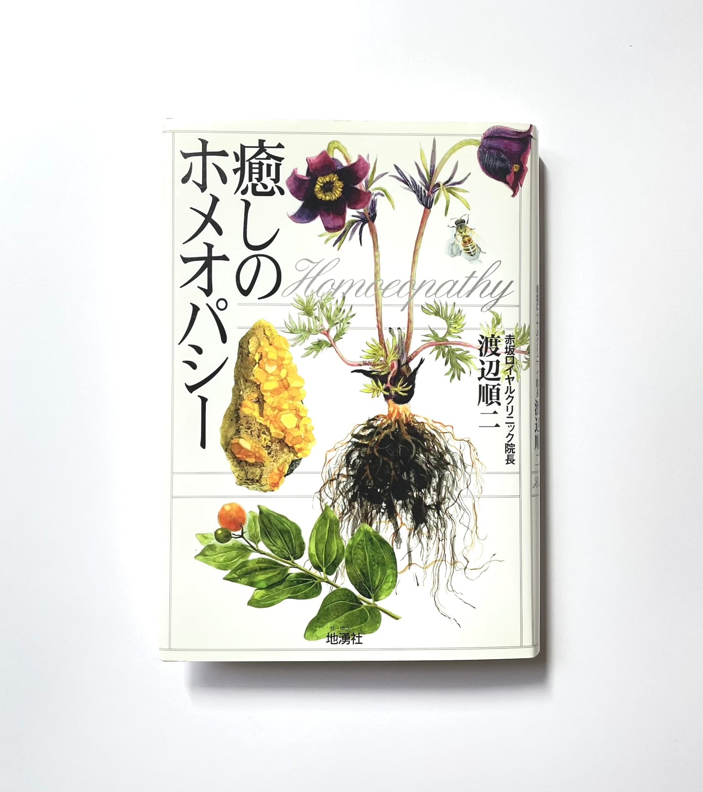 癒しのホメオパシー