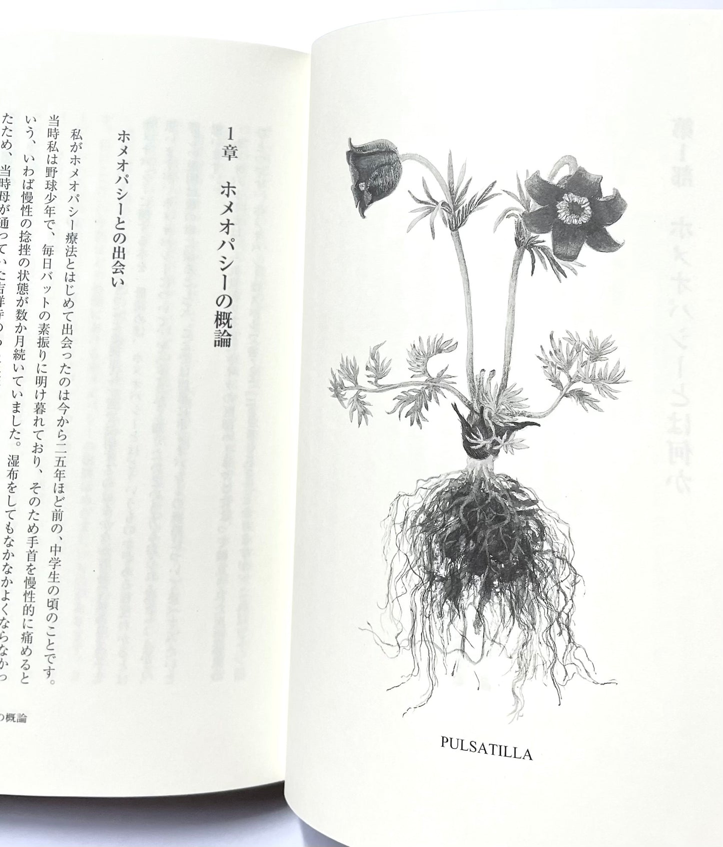 癒しのホメオパシー