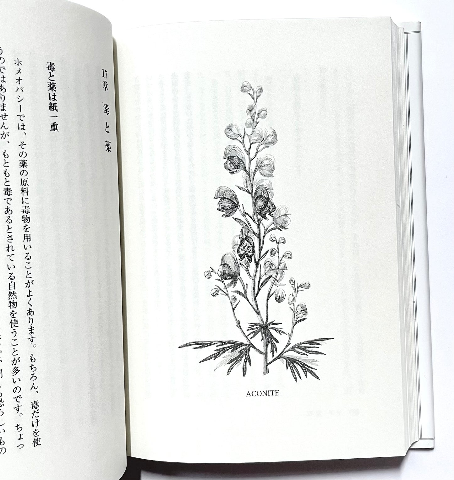 癒しのホメオパシー