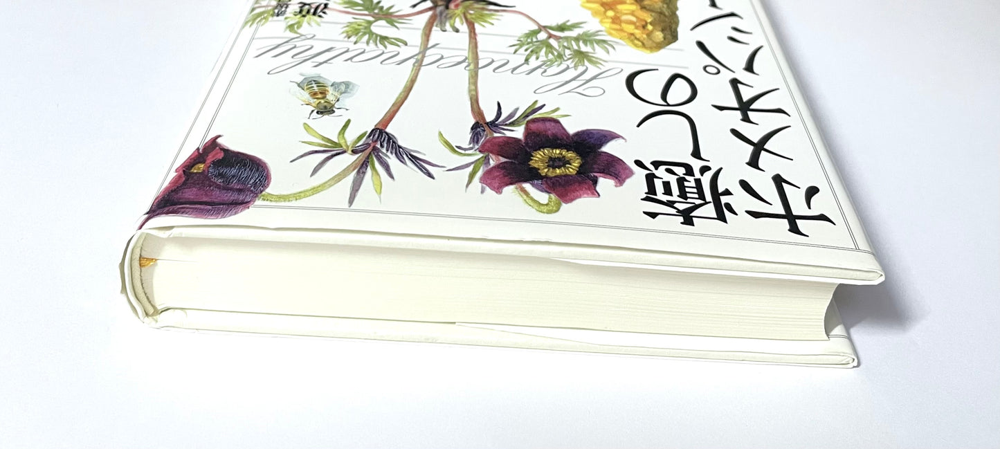 癒しのホメオパシー