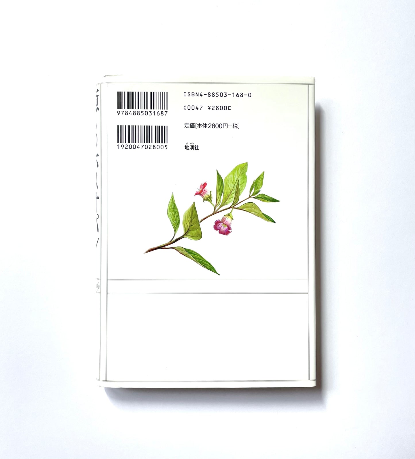 癒しのホメオパシー