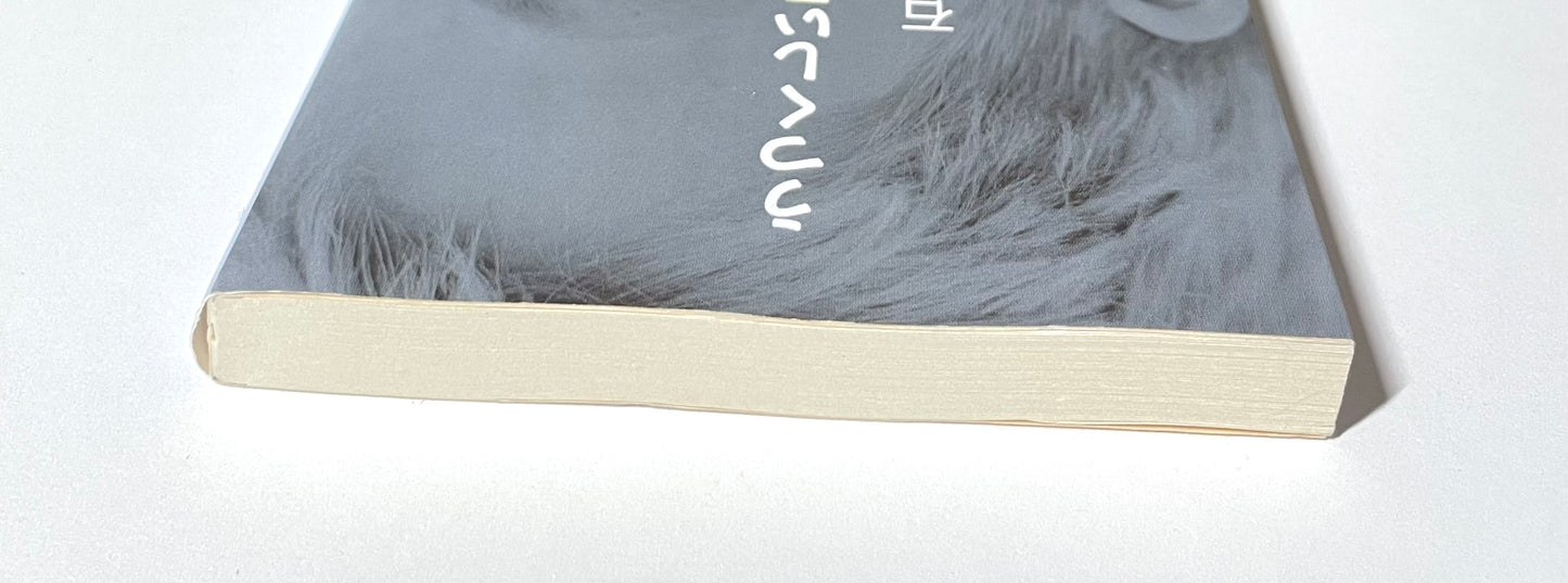 うつくしい子ども