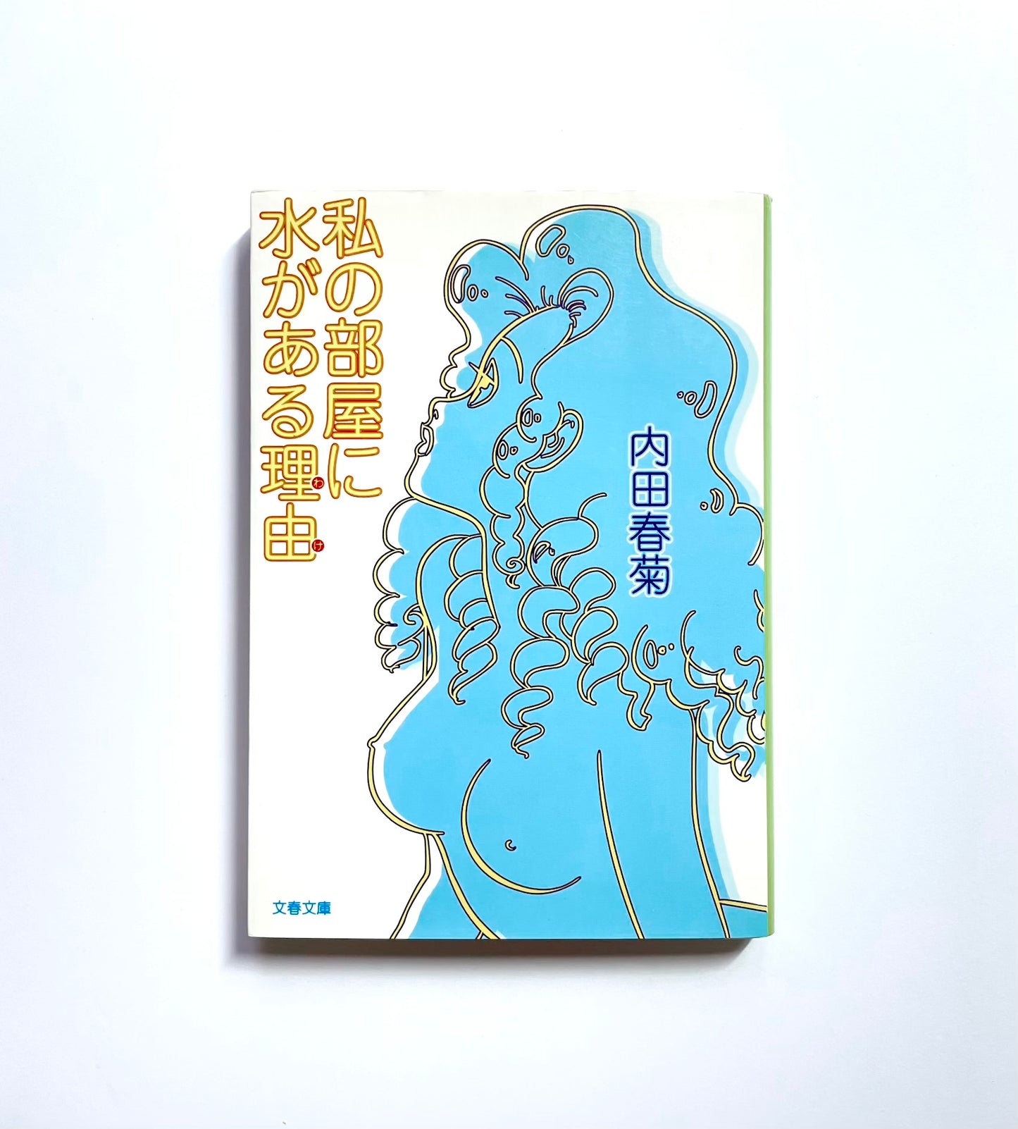 私の部屋に水がある理由