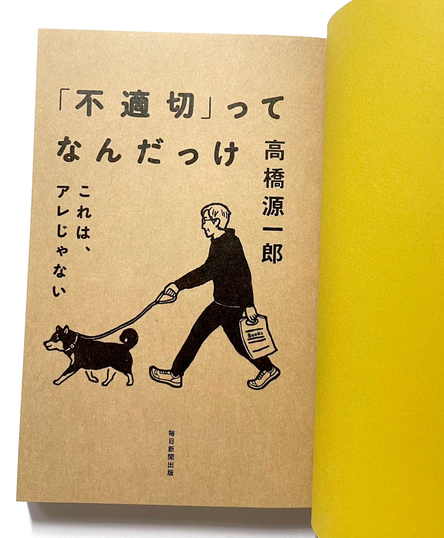 「不適切」ってなんだっけ　これは、アレじゃない