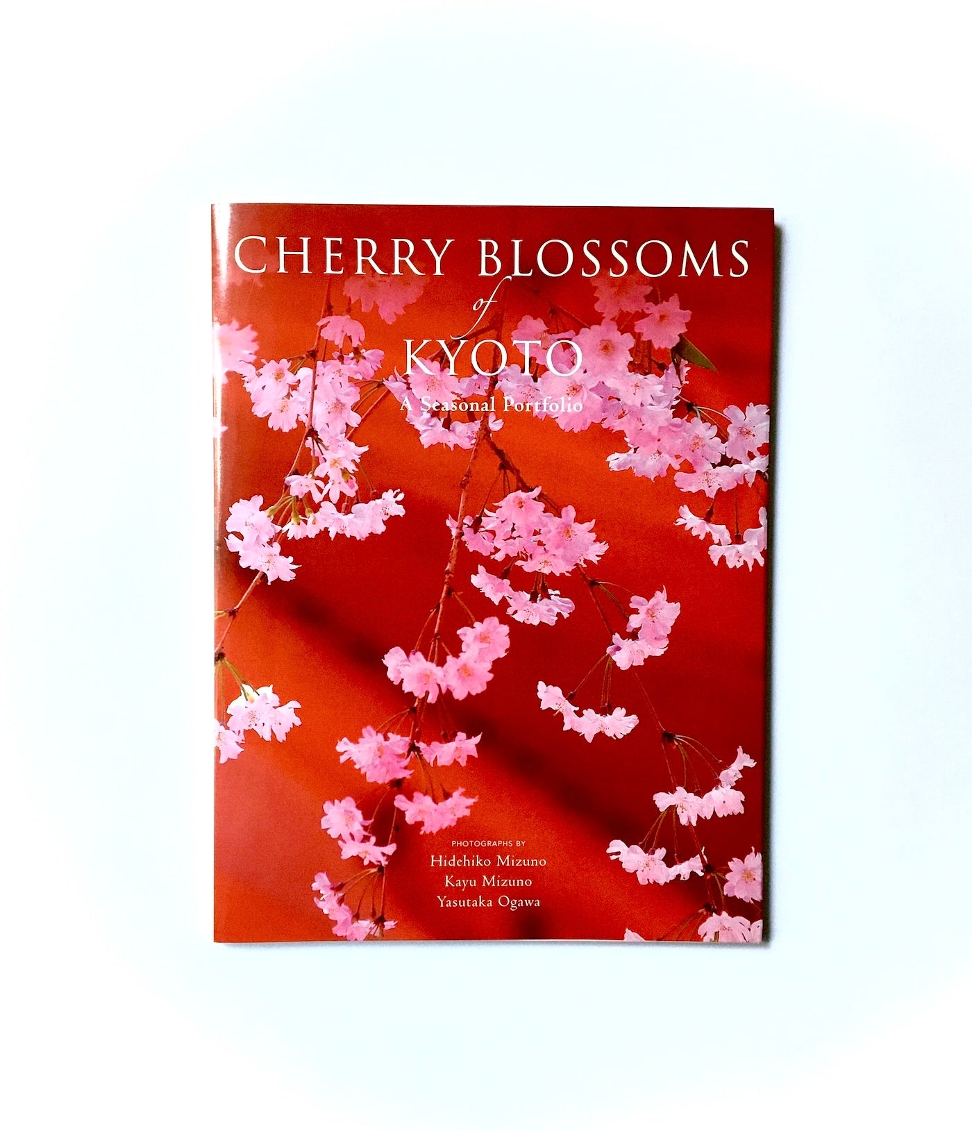 Cherry Blossoms of Kyoto: A Seasonal Portfolio