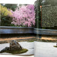 Cherry Blossoms of Kyoto: A Seasonal Portfolio