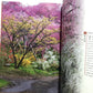 Cherry Blossoms of Kyoto: A Seasonal Portfolio