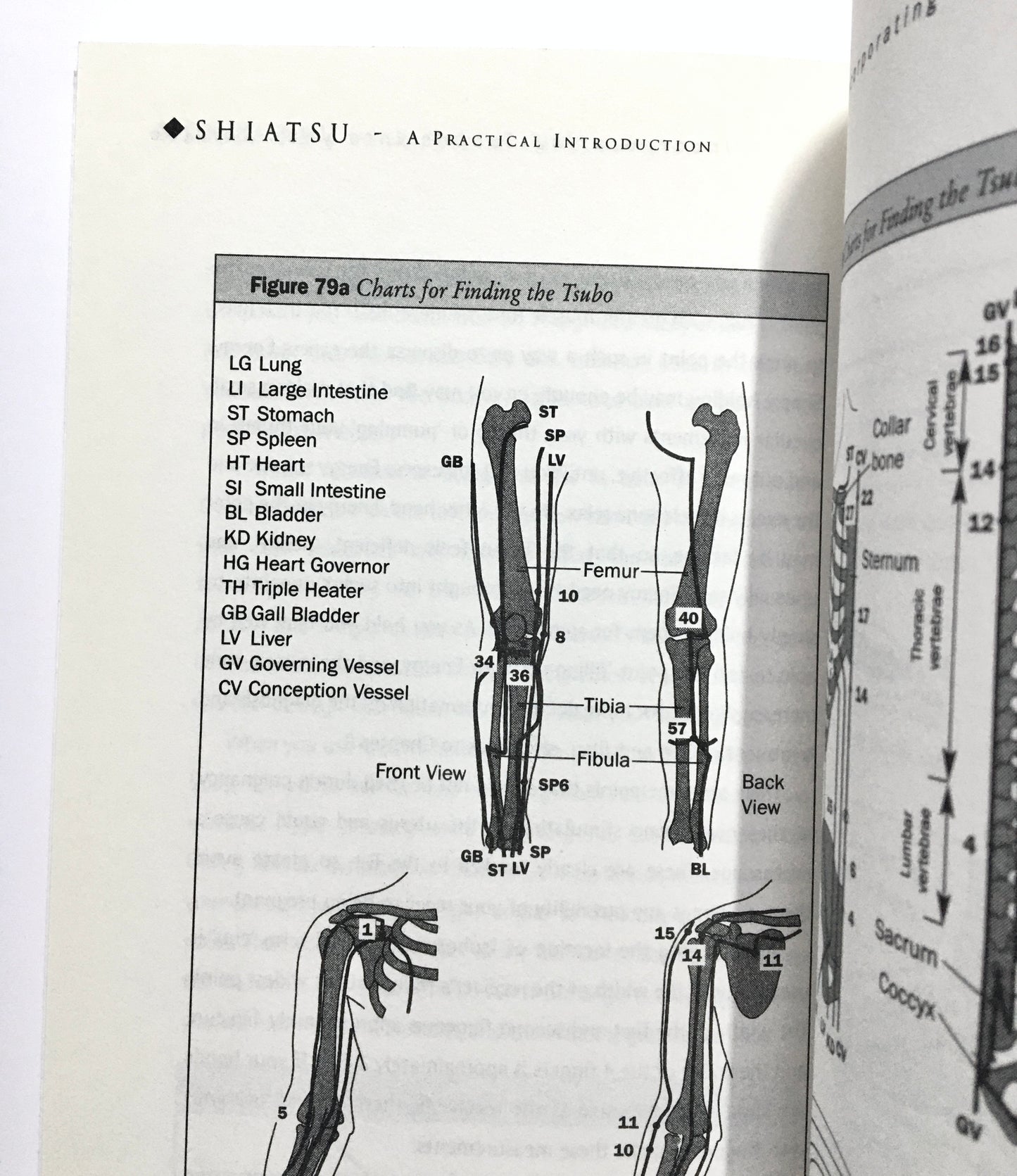 Shiatsu: A Practical Introduction