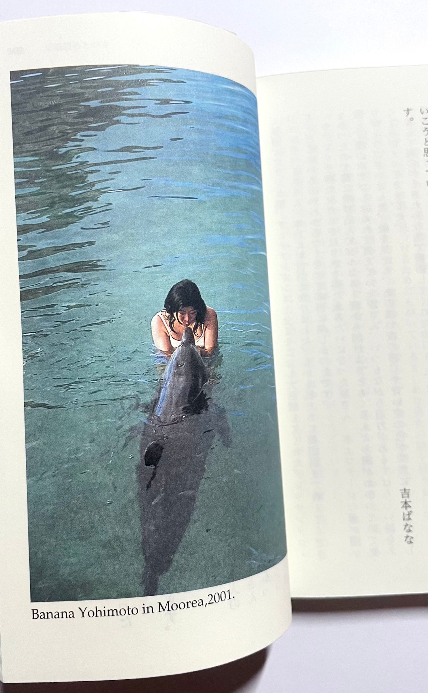 虹　世界の旅 4