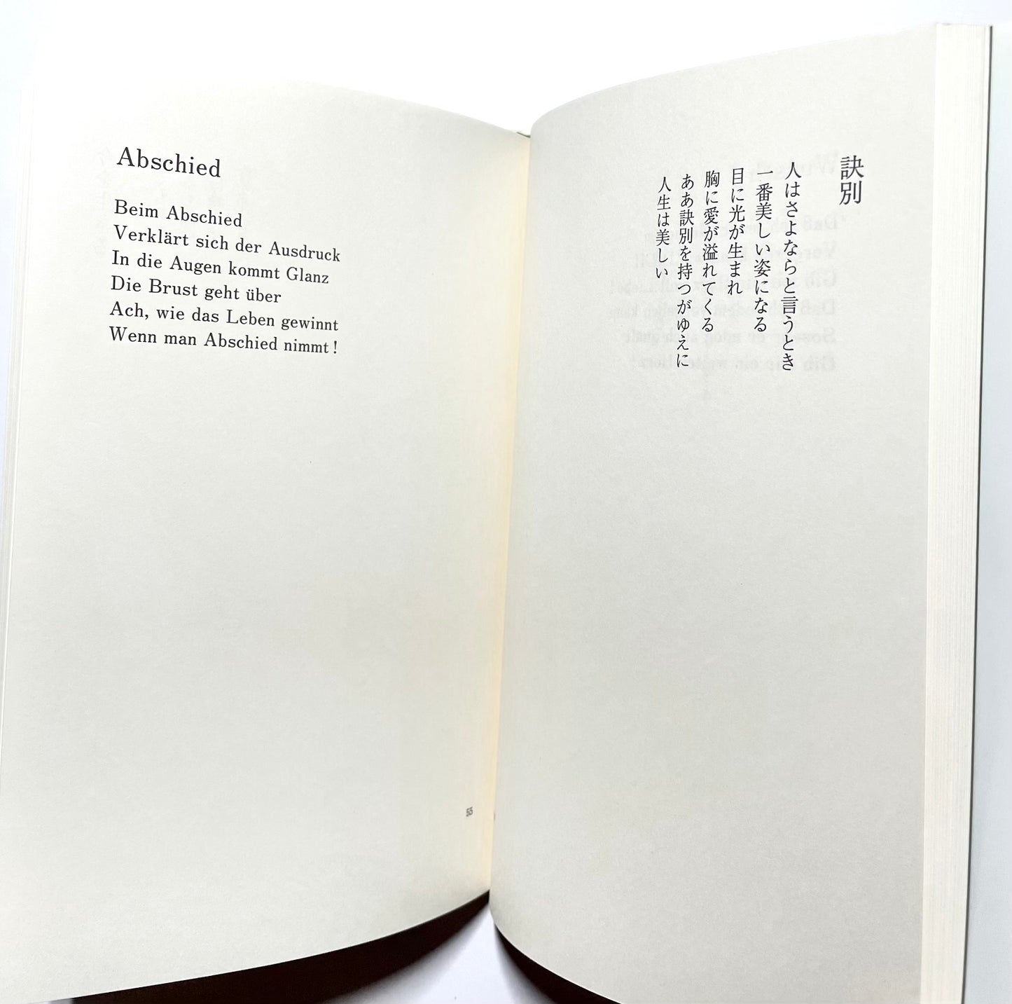 坂村真民詩集　タンポポ　独文対訳/ TANPOPO-55 Zen Gedichte von Sakamura Shinmin