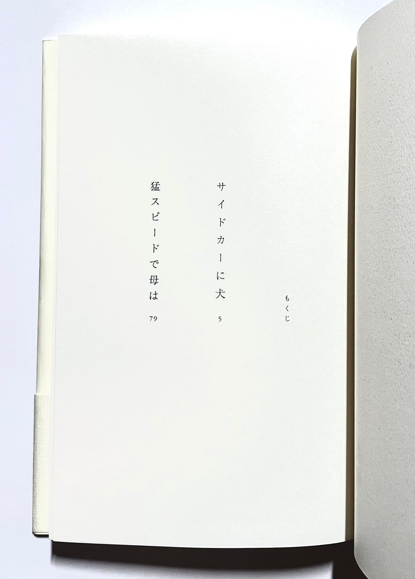 猛スピードで母は