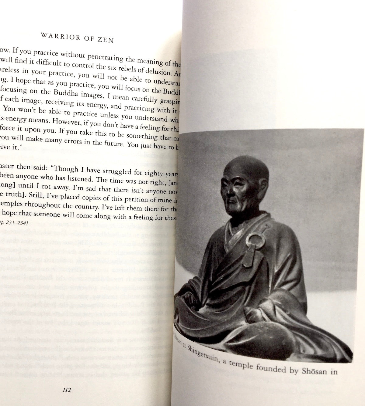 Warrior of Zen: The Diamond-Hard Wisdom Mind of Suzuki Shosan: Diamond-hard Wisdom Mind of Suzaki Shosan