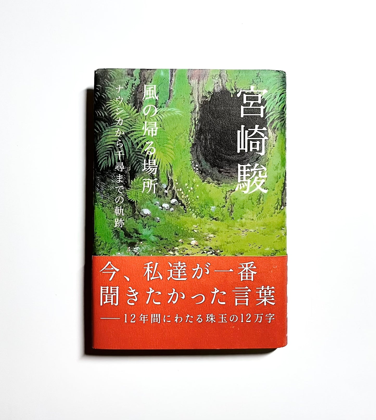 風の帰る場所 ― ナウシカから千尋までの軌跡
