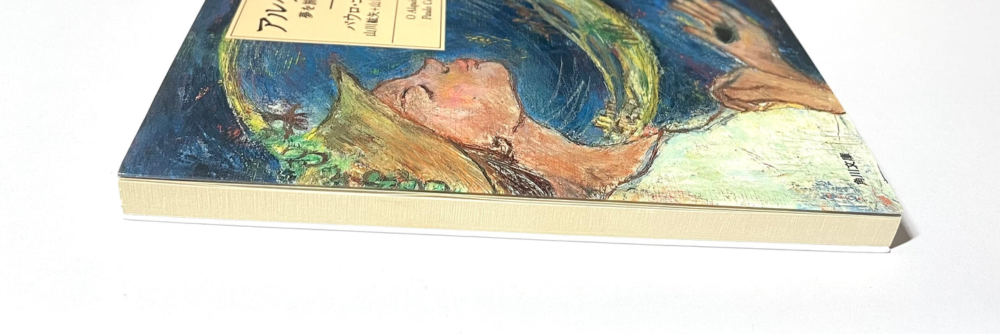 アルケミスト　夢を旅した少年