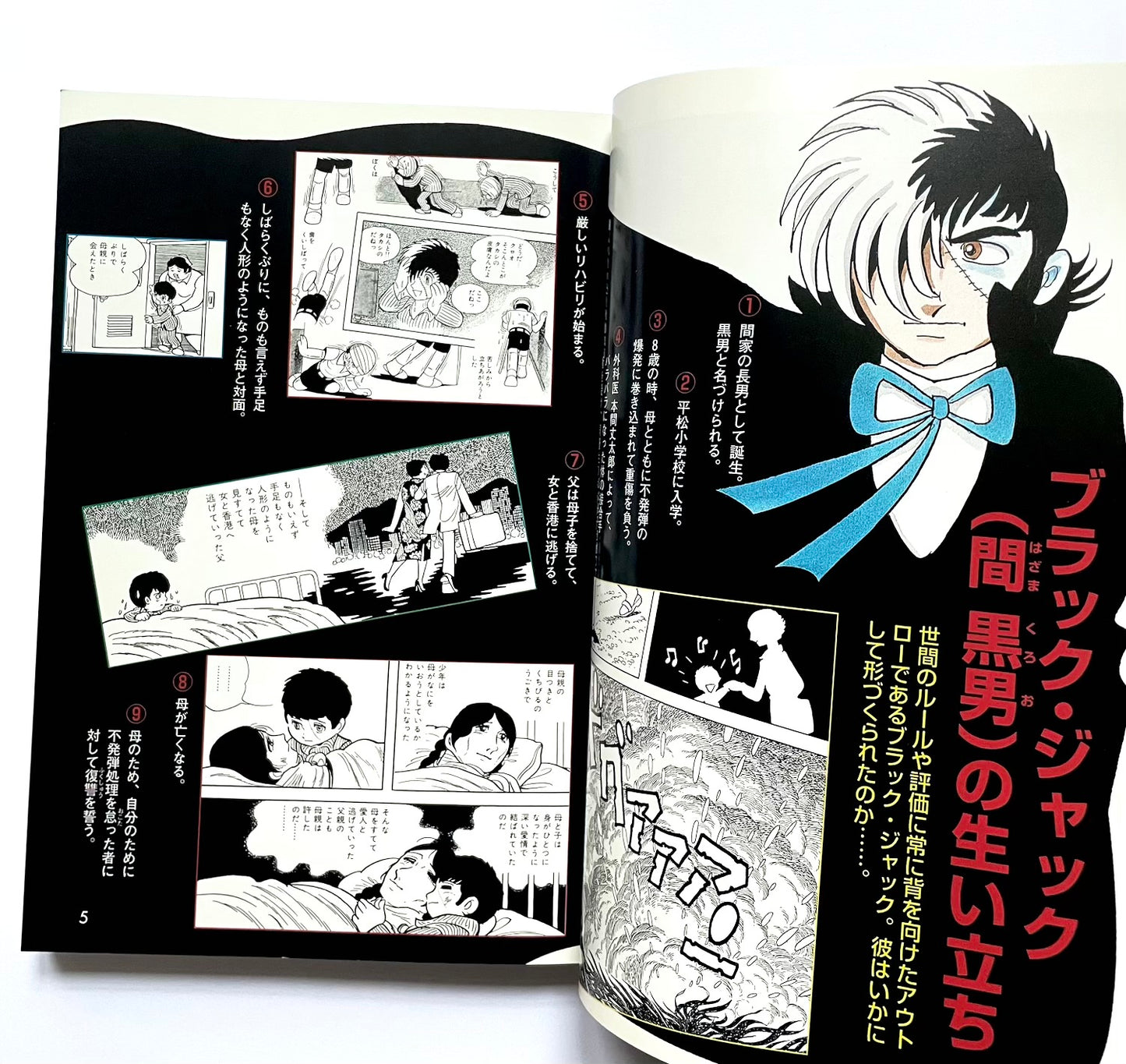 ブラック・ジャック公式ガイドブック - その謎と真実のカルテ