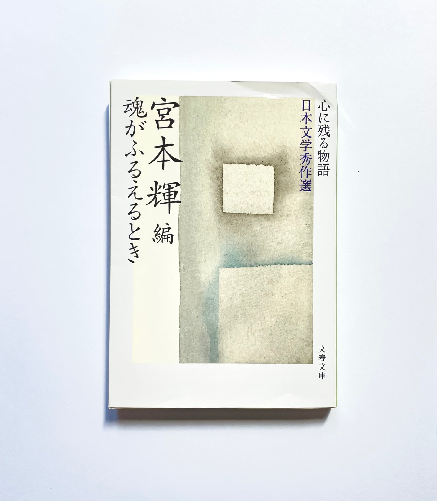 心に残る物語 日本文学秀作選 魂がふるえるとき　宮本輝 編