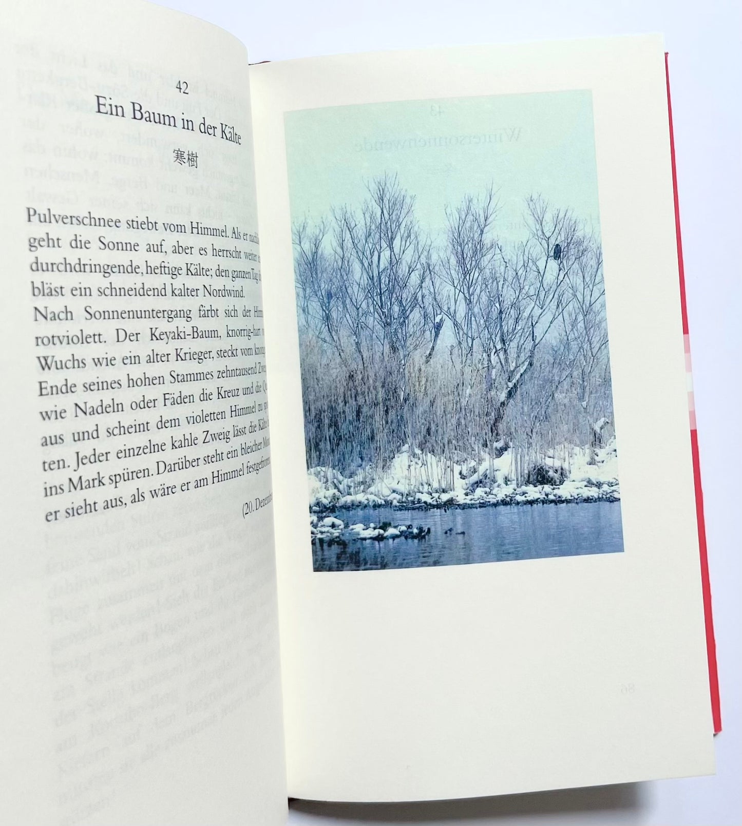 Natur und Menschenleben