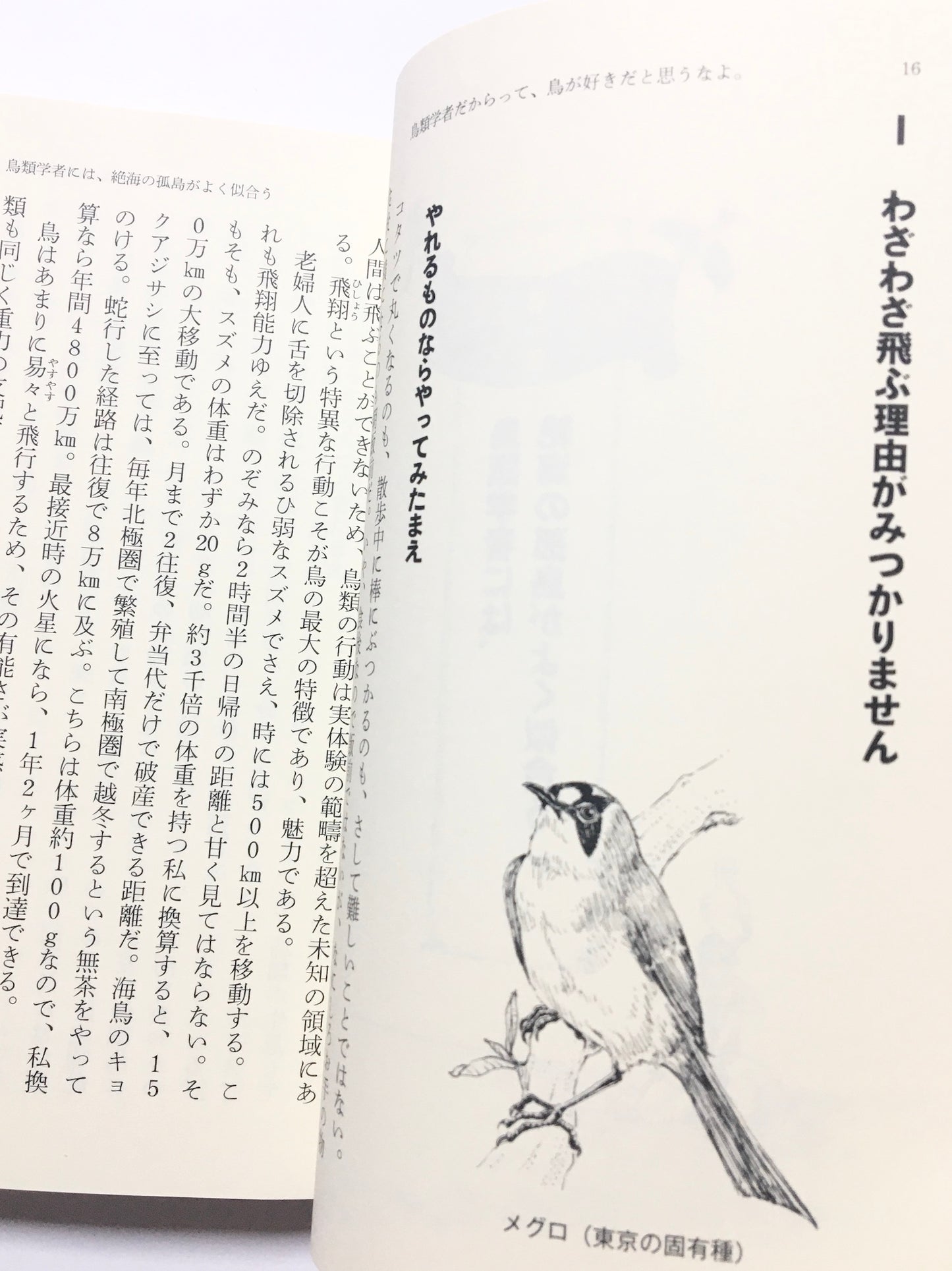 鳥類学者だからって、鳥が好きだと思うなよ。