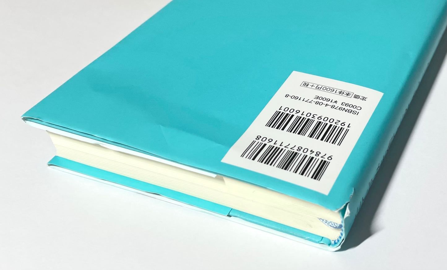 たてがみを捨てたライオンたち