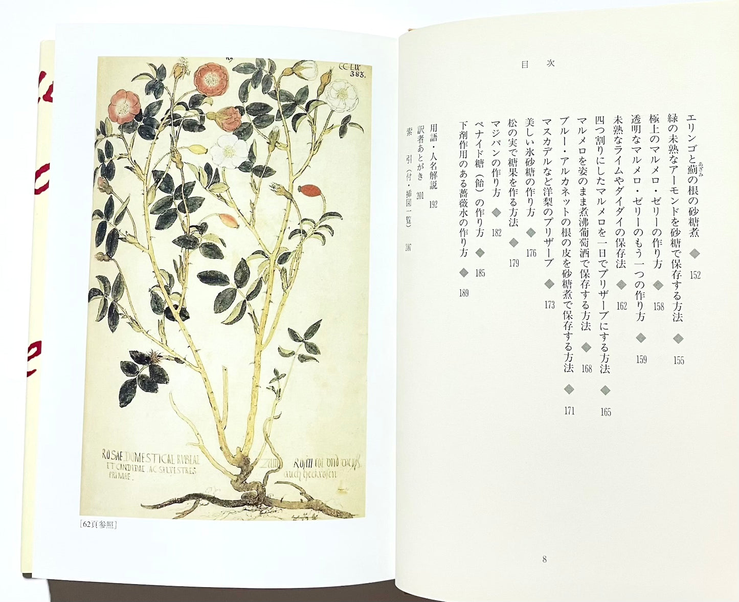 ノストラダムスの万能薬