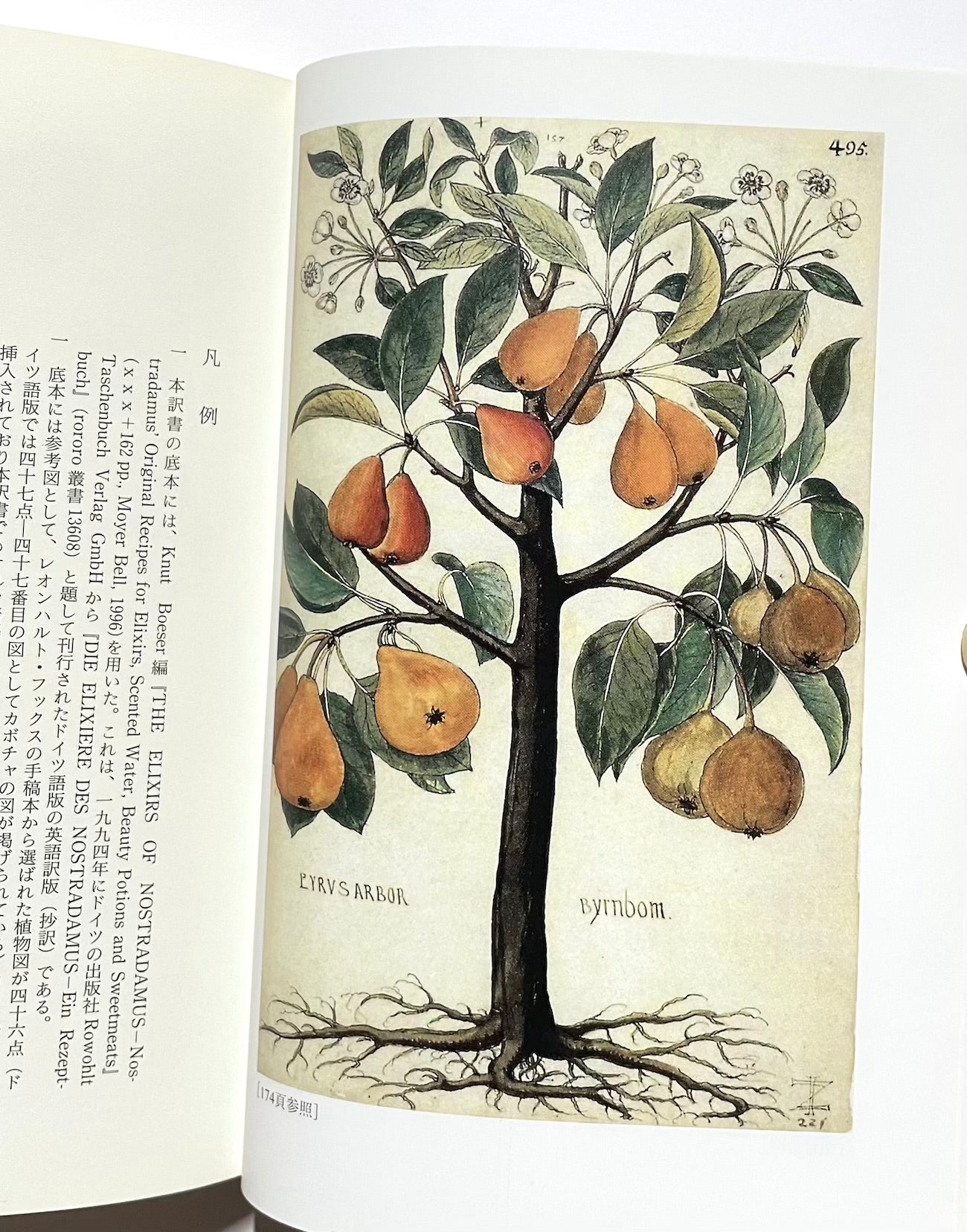 ノストラダムスの万能薬