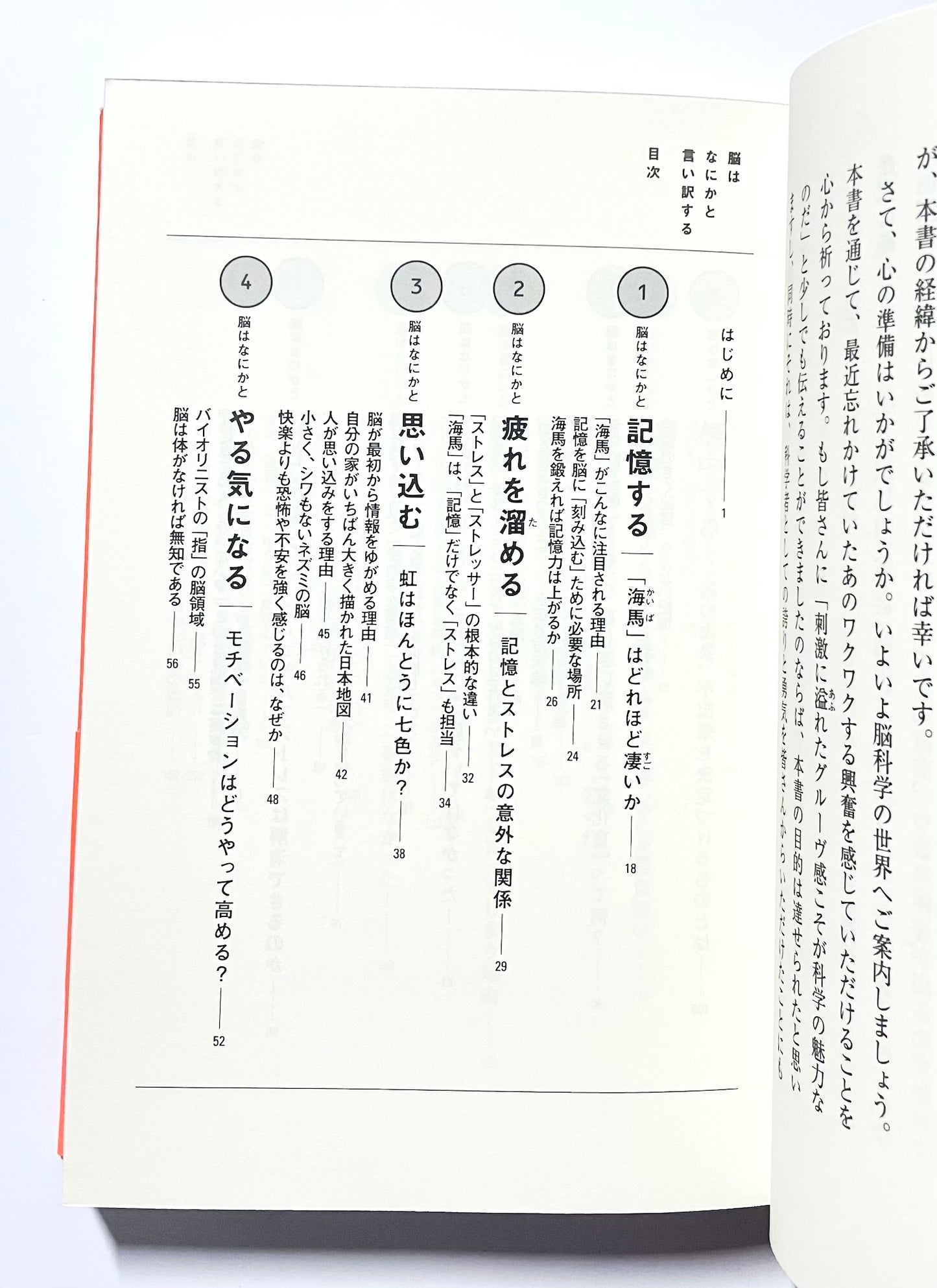 脳はなにかと言い訳する: 人は幸せになるようにできていた!?