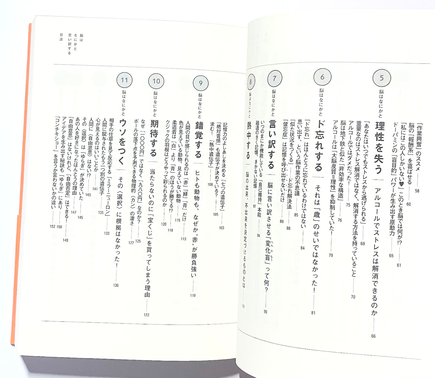 脳はなにかと言い訳する: 人は幸せになるようにできていた!?