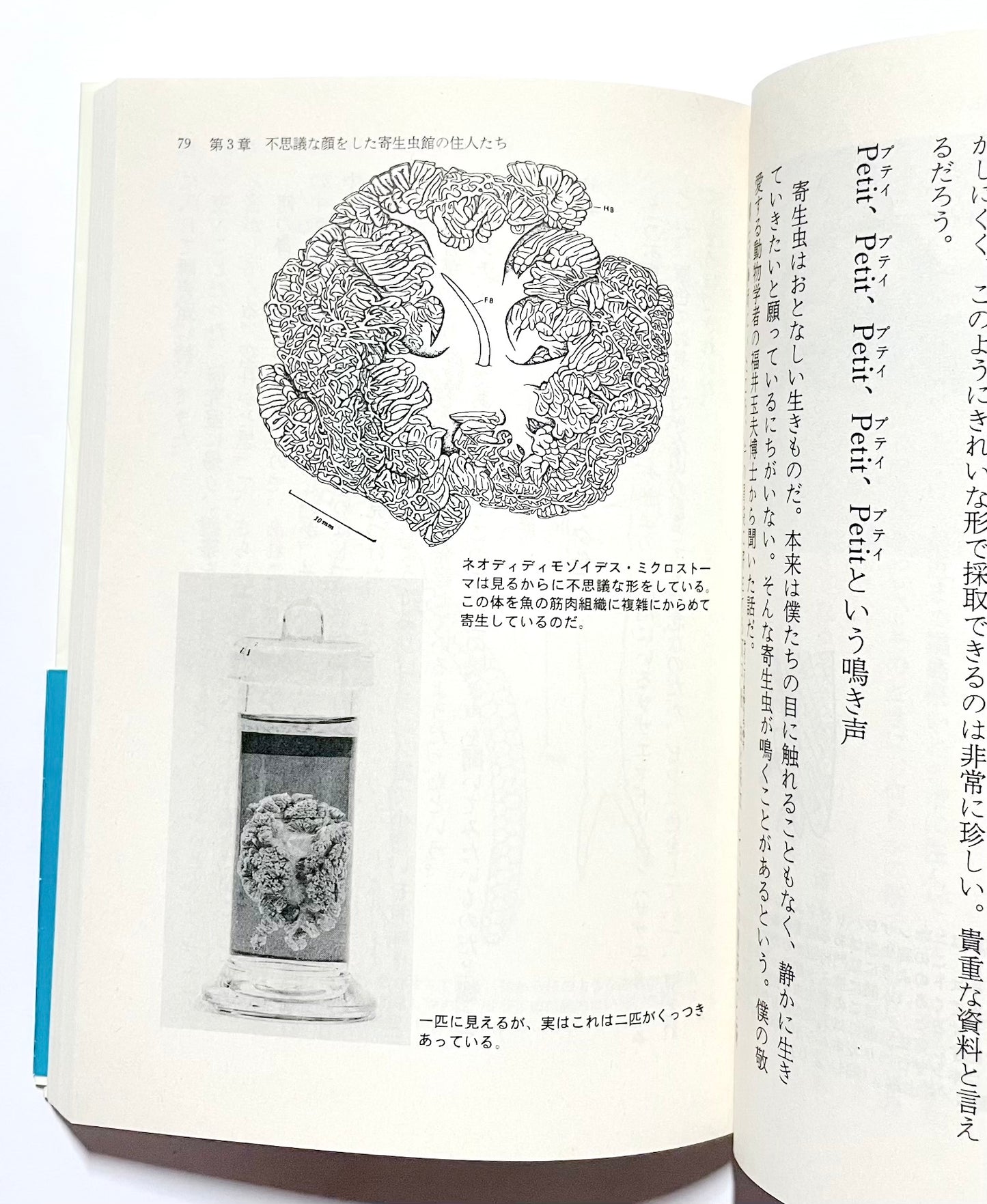 寄生虫館物語: 可愛く奇妙な虫たちの暮らし