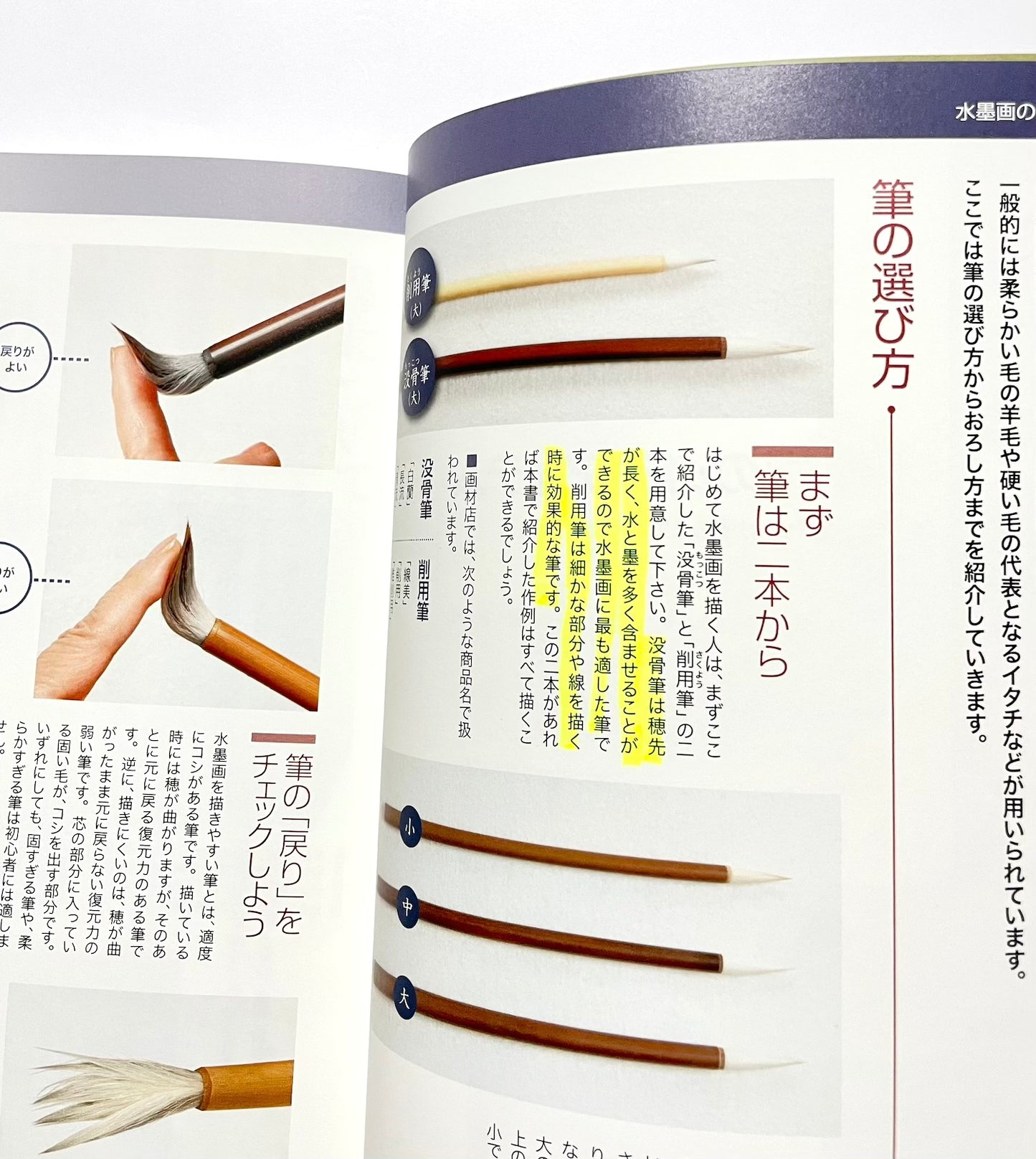 基本が身につく　初歩からの水墨画 ― 手に取るようにわかる徹底レッスン （新装版）