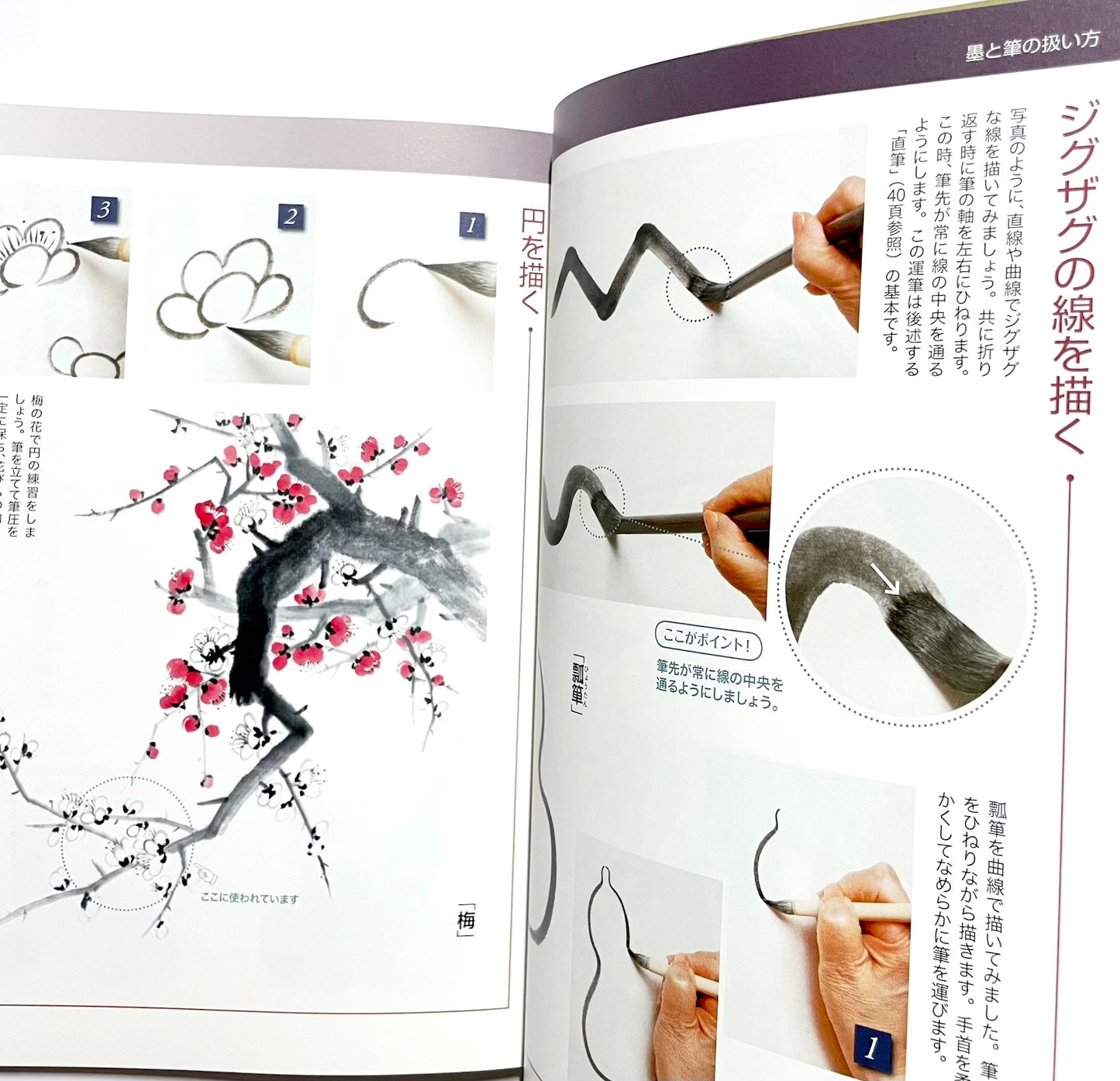 基本が身につく　初歩からの水墨画 ― 手に取るようにわかる徹底レッスン （新装版）